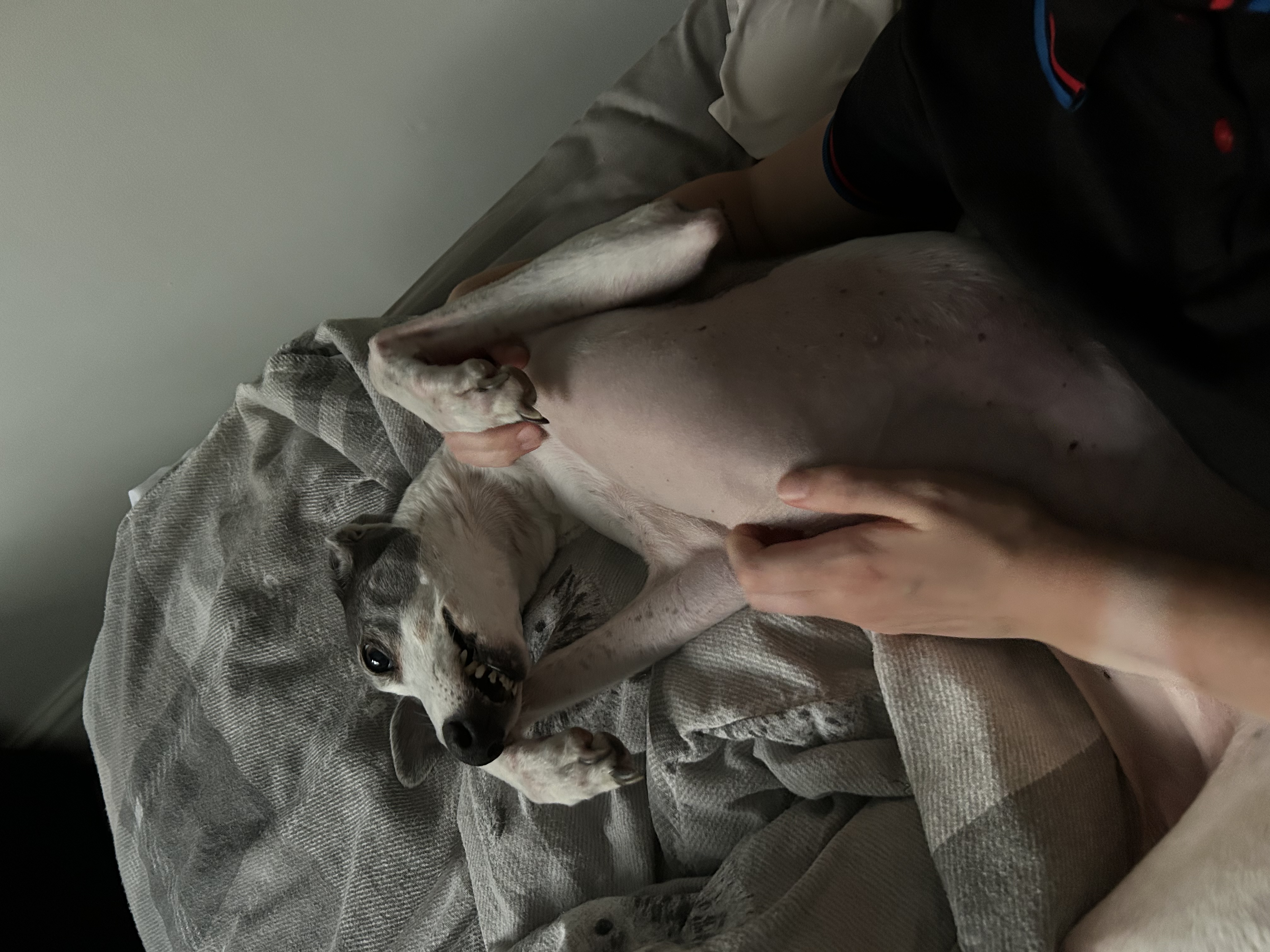 image-8
