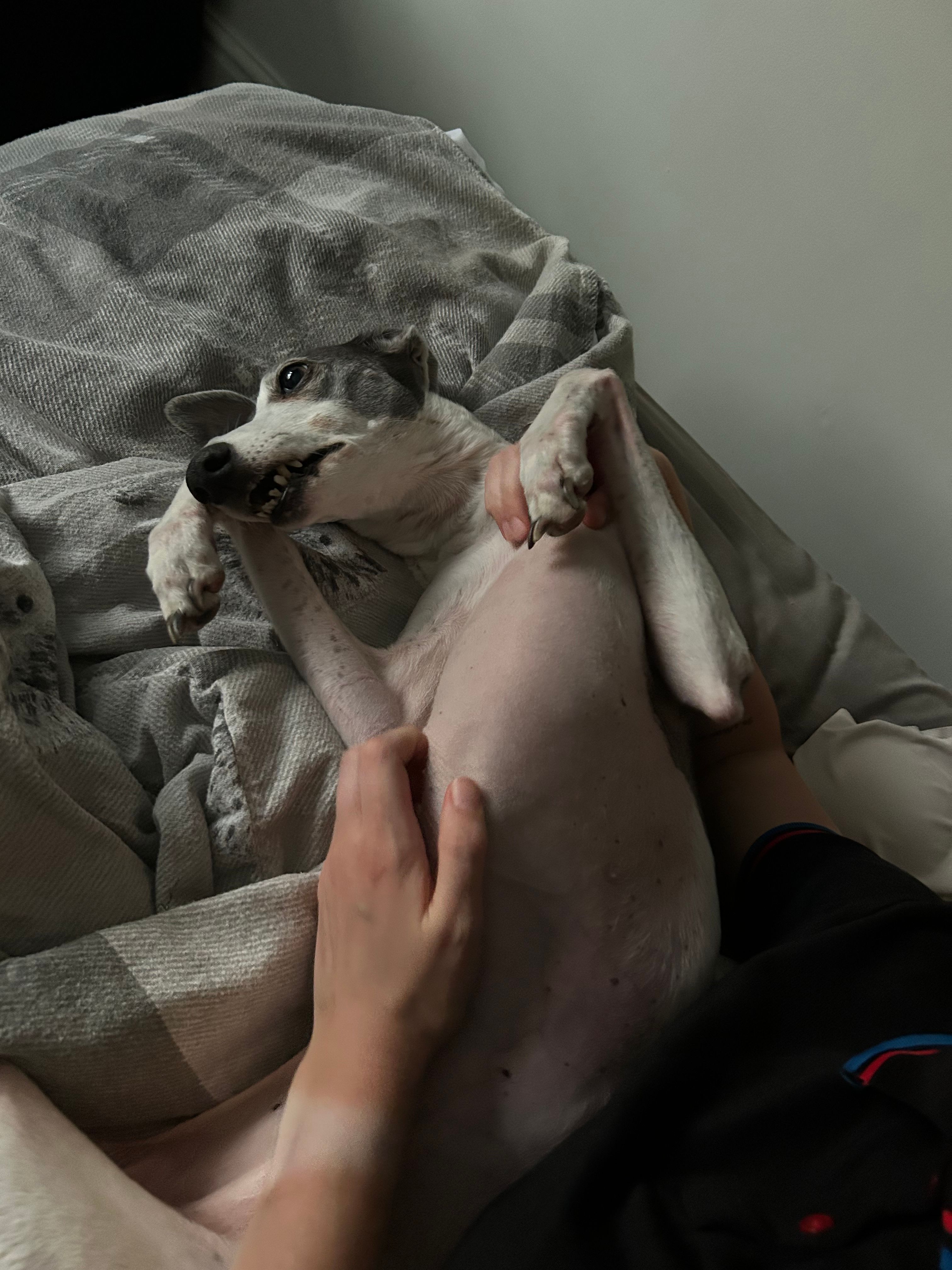 image-8