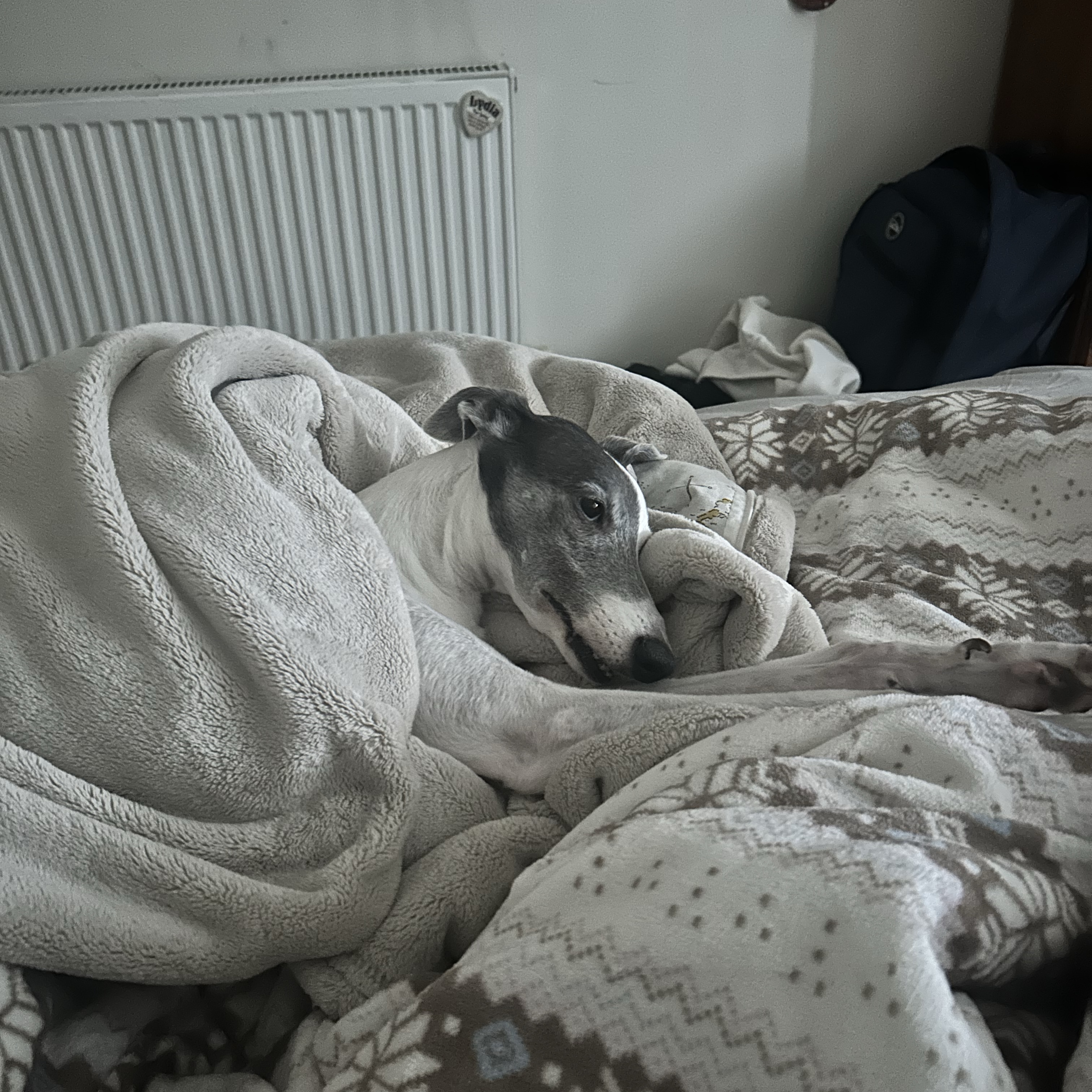 Willow
