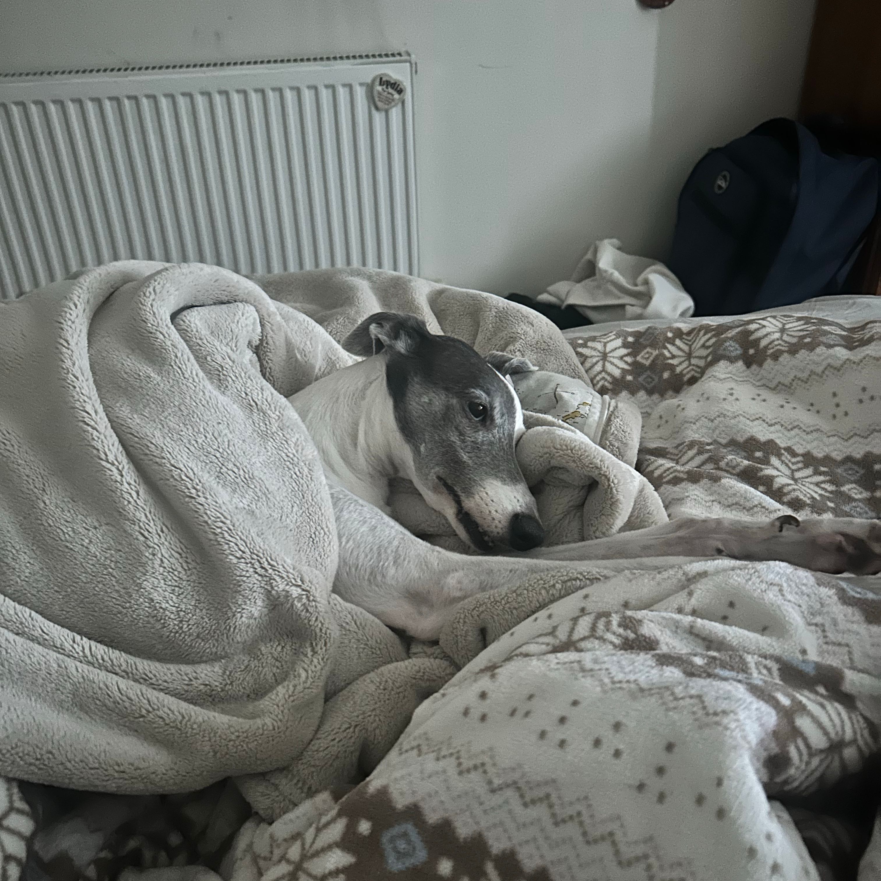 Willow