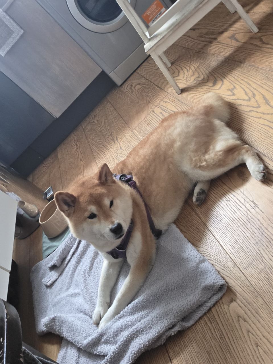 image-12