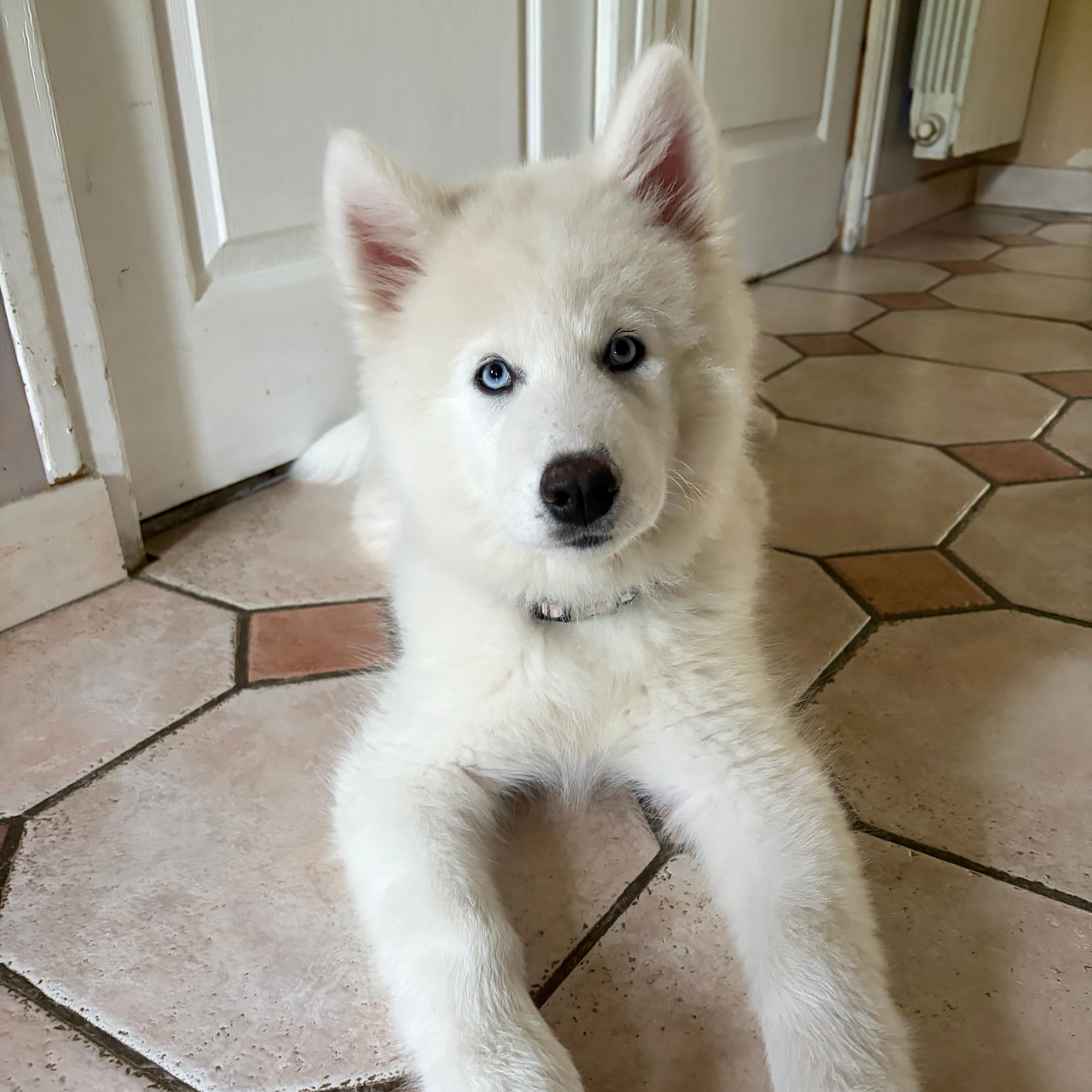 Alaska