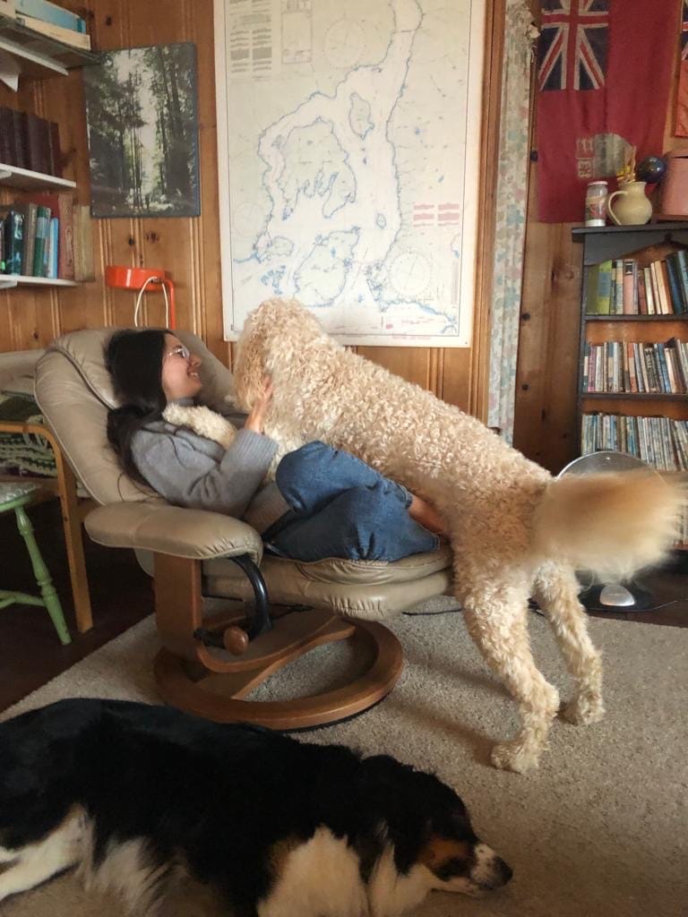 image-1