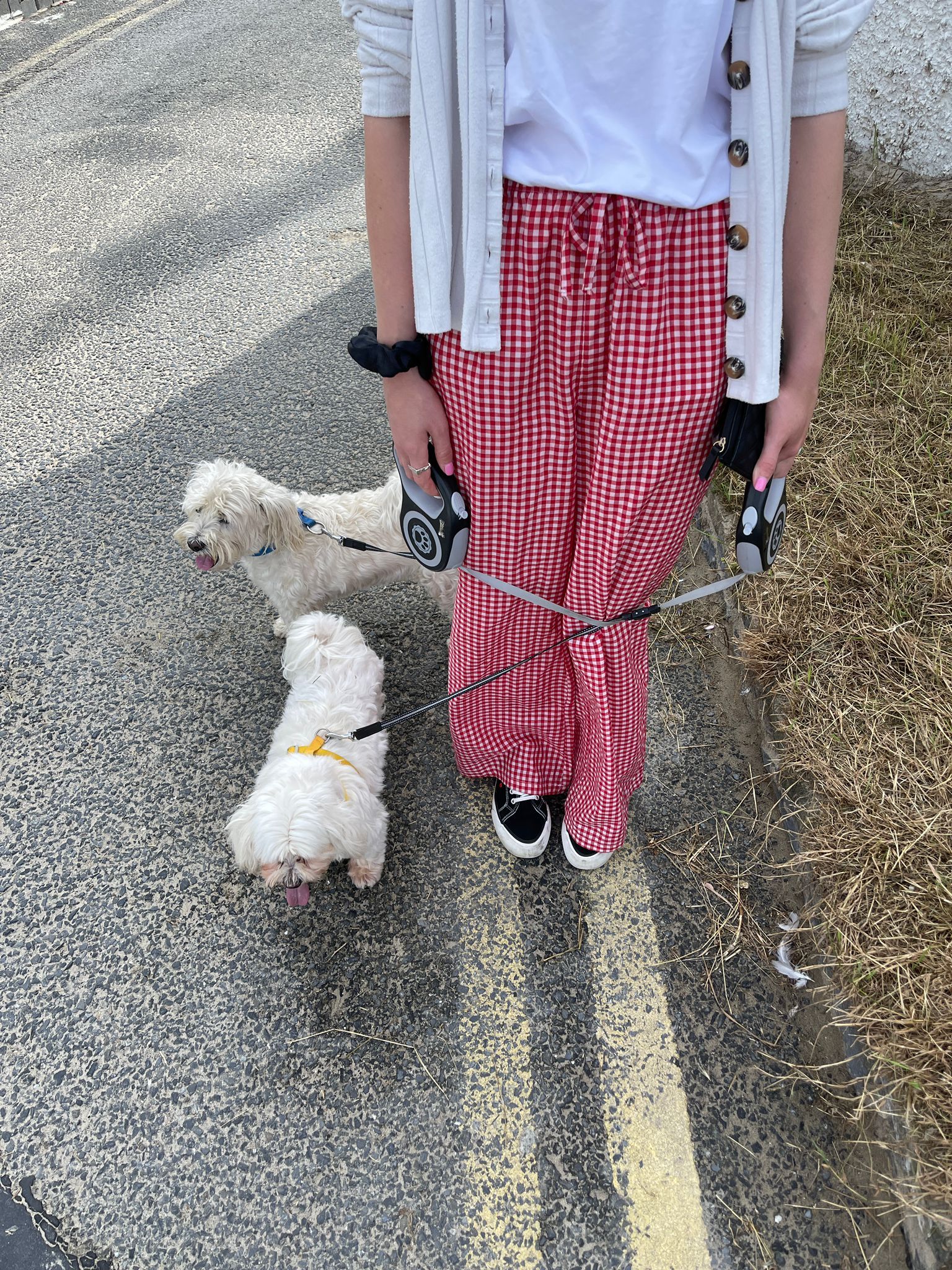 image-10