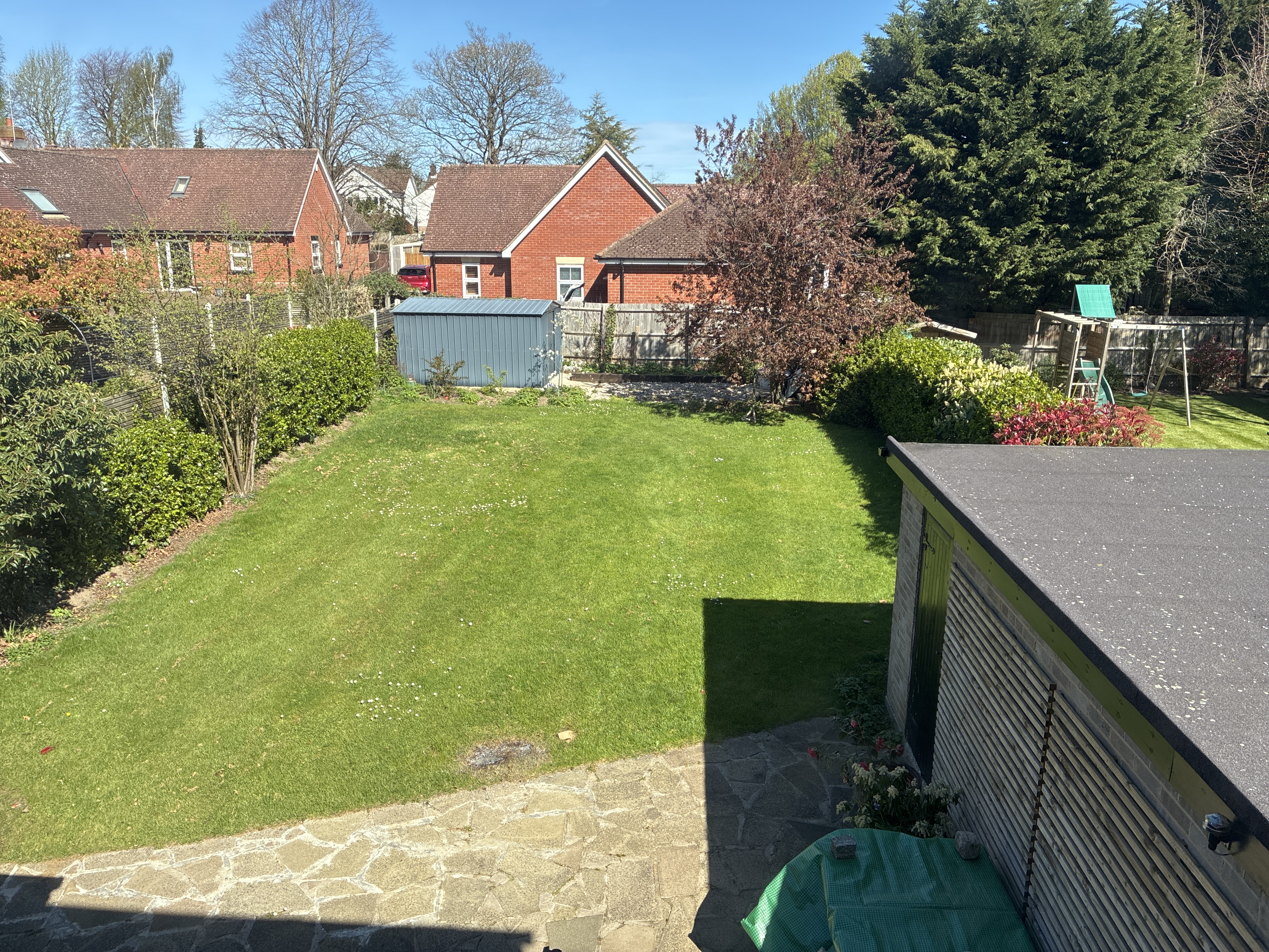 image-6