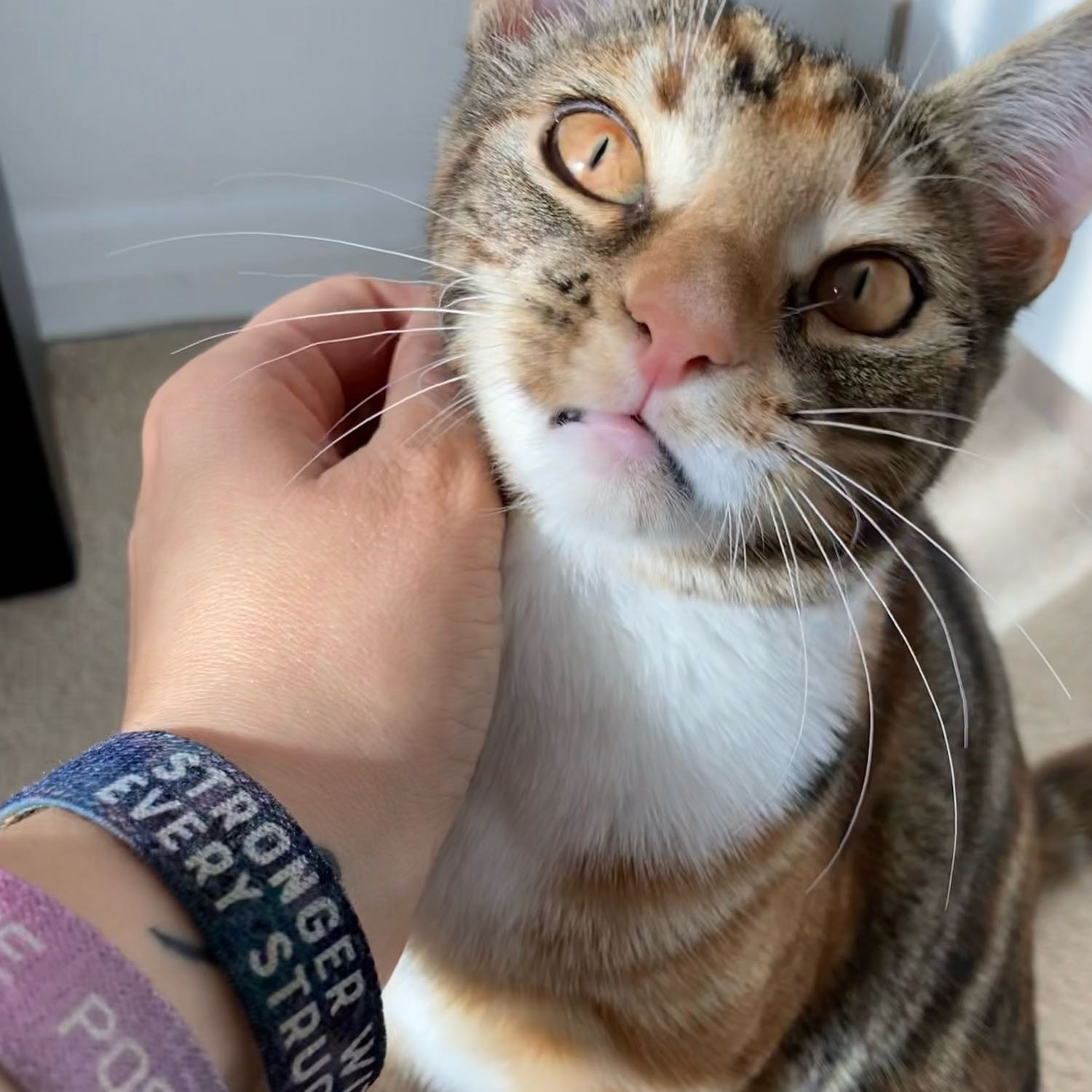 Minnie