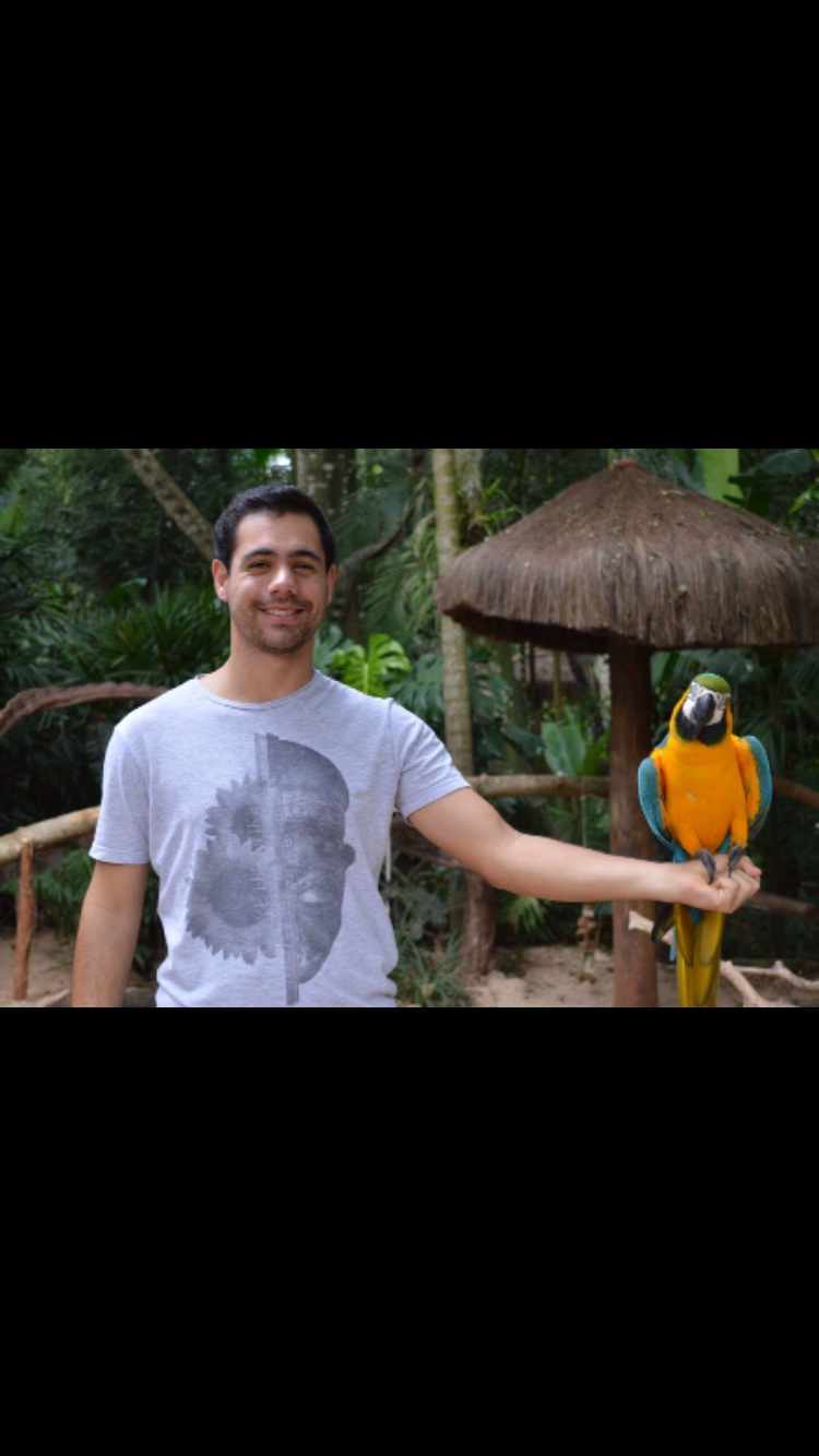 image-8