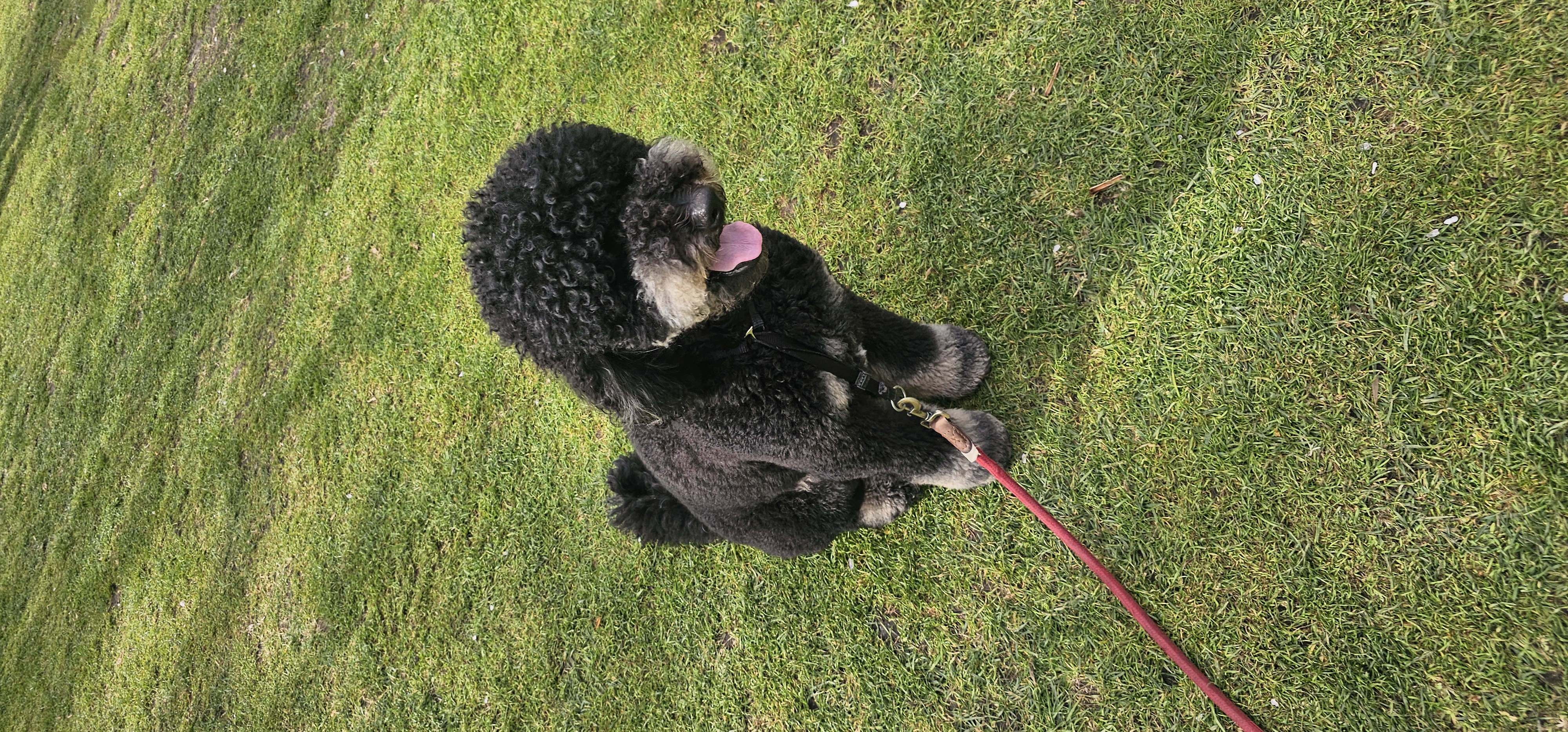 image-8