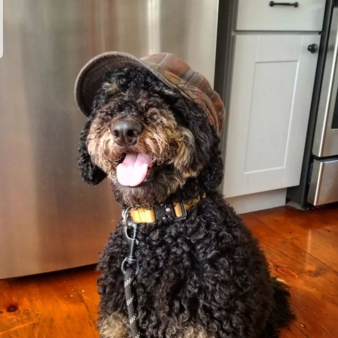 Truffle