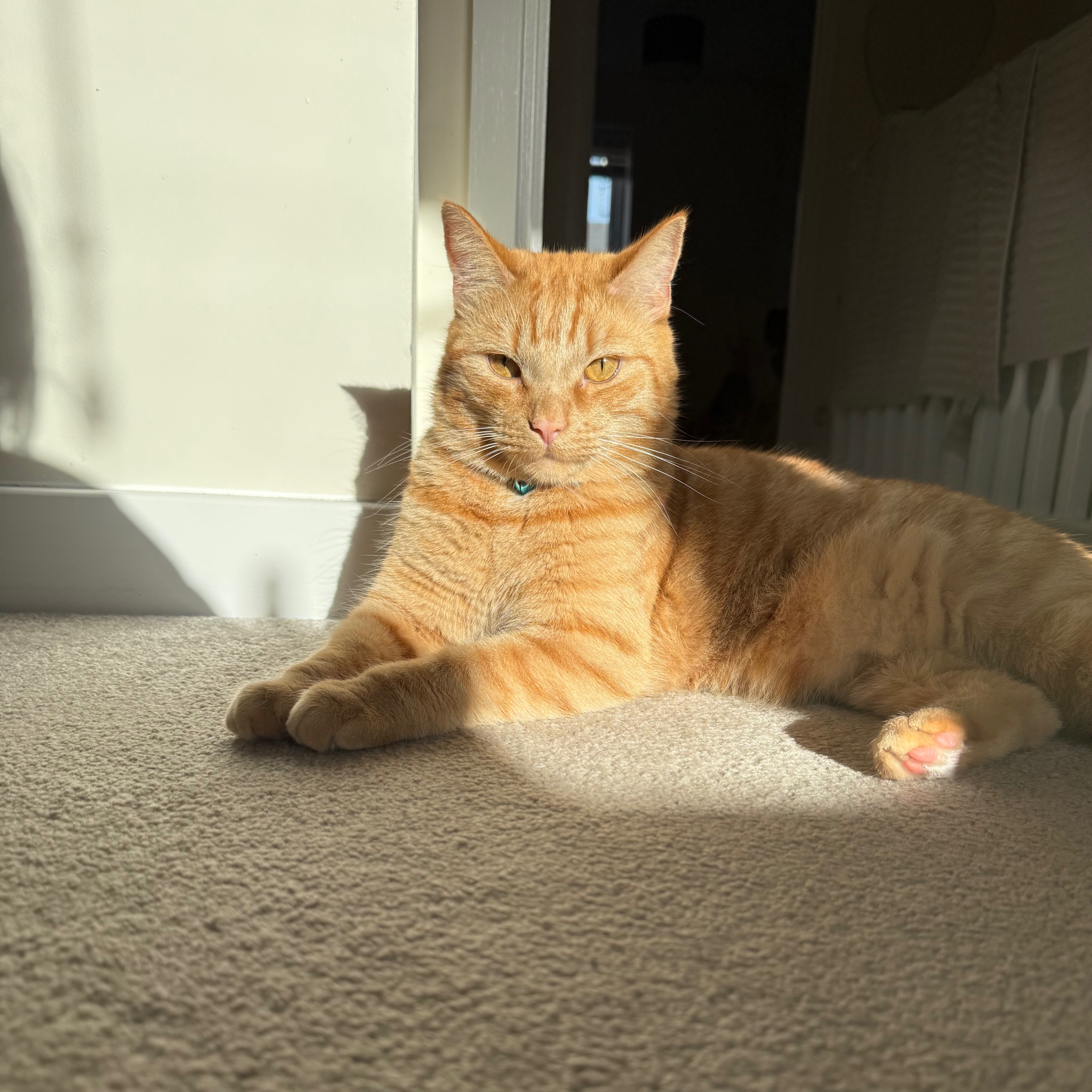 Tigger