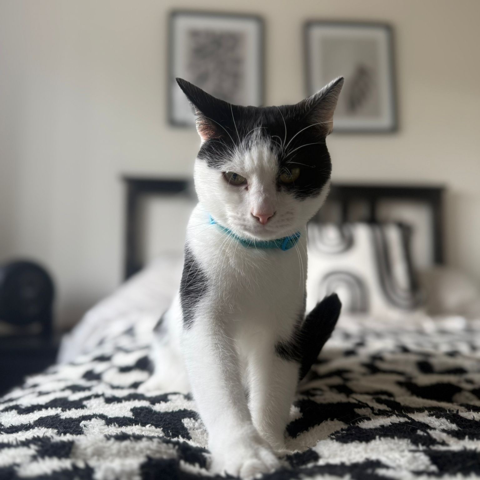 Milo