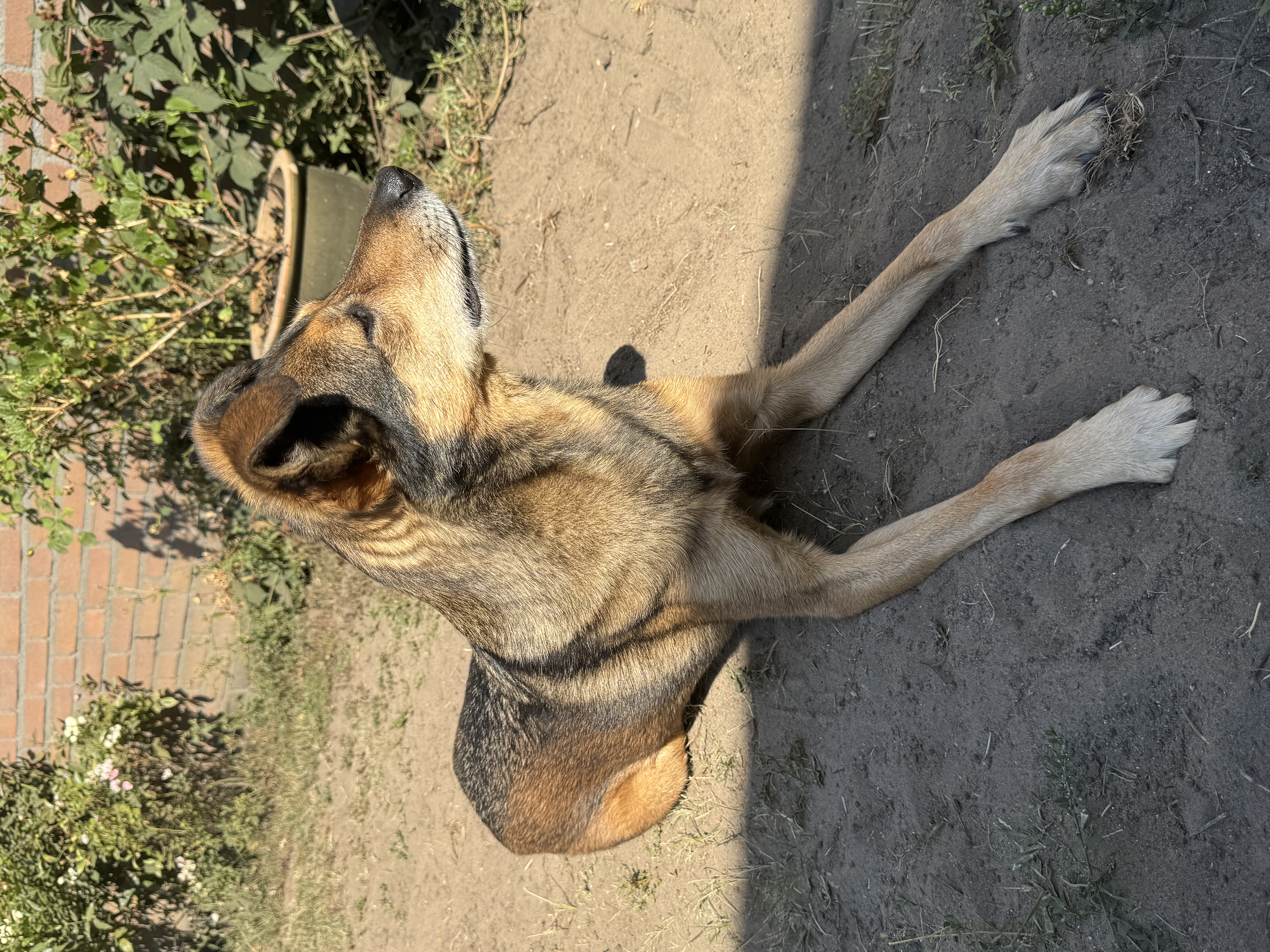 image-10