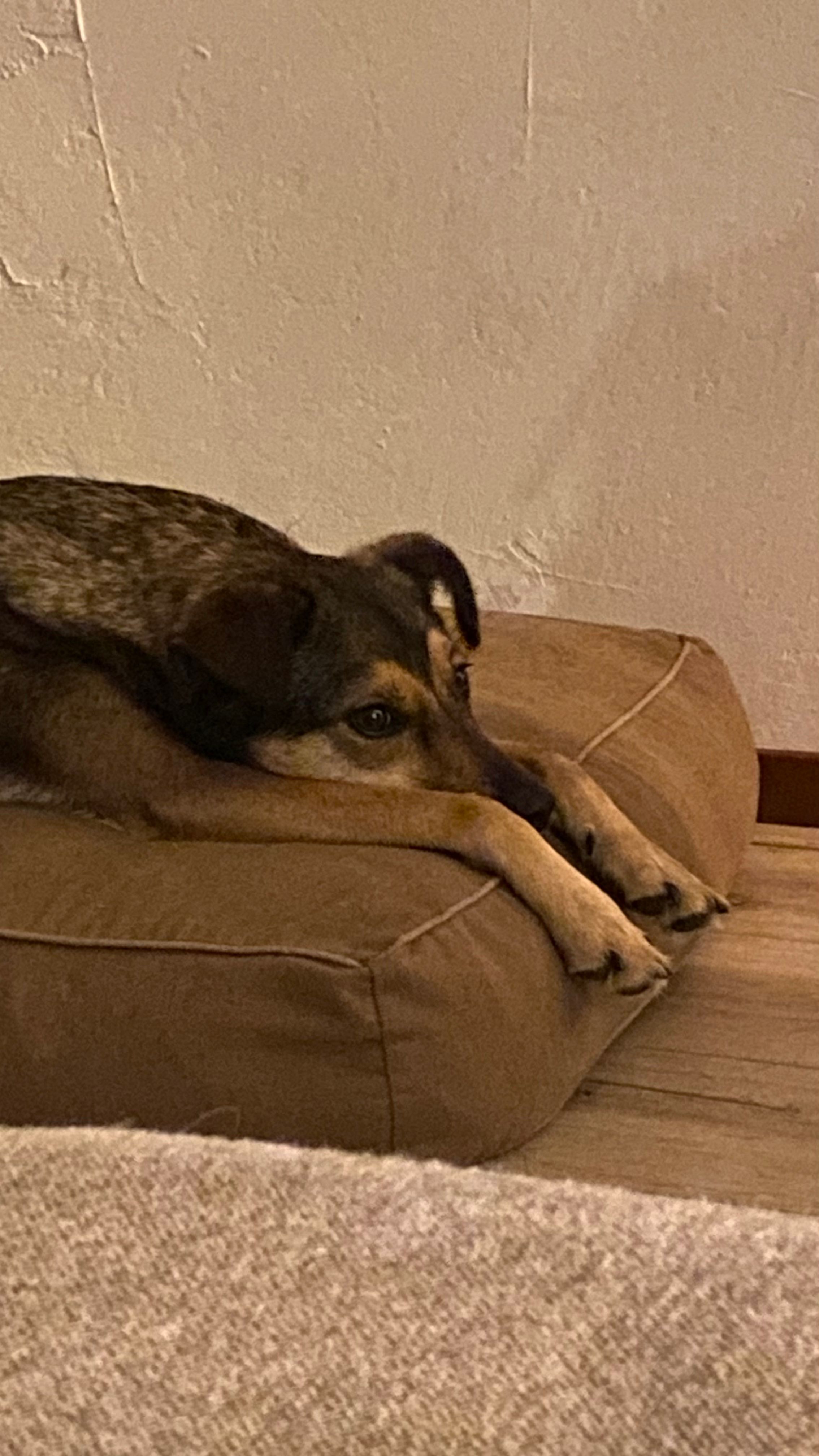 image-7