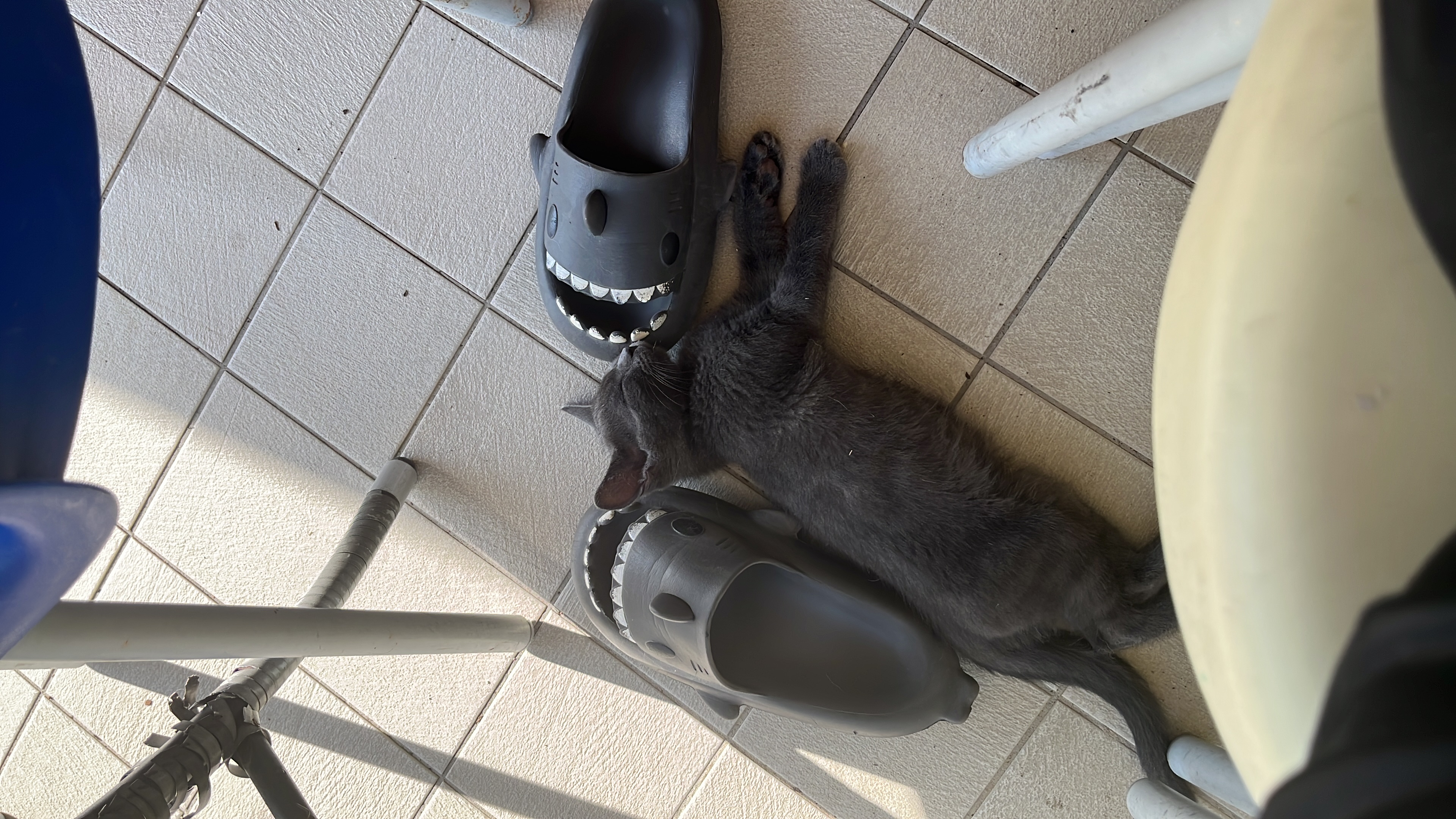 image-7