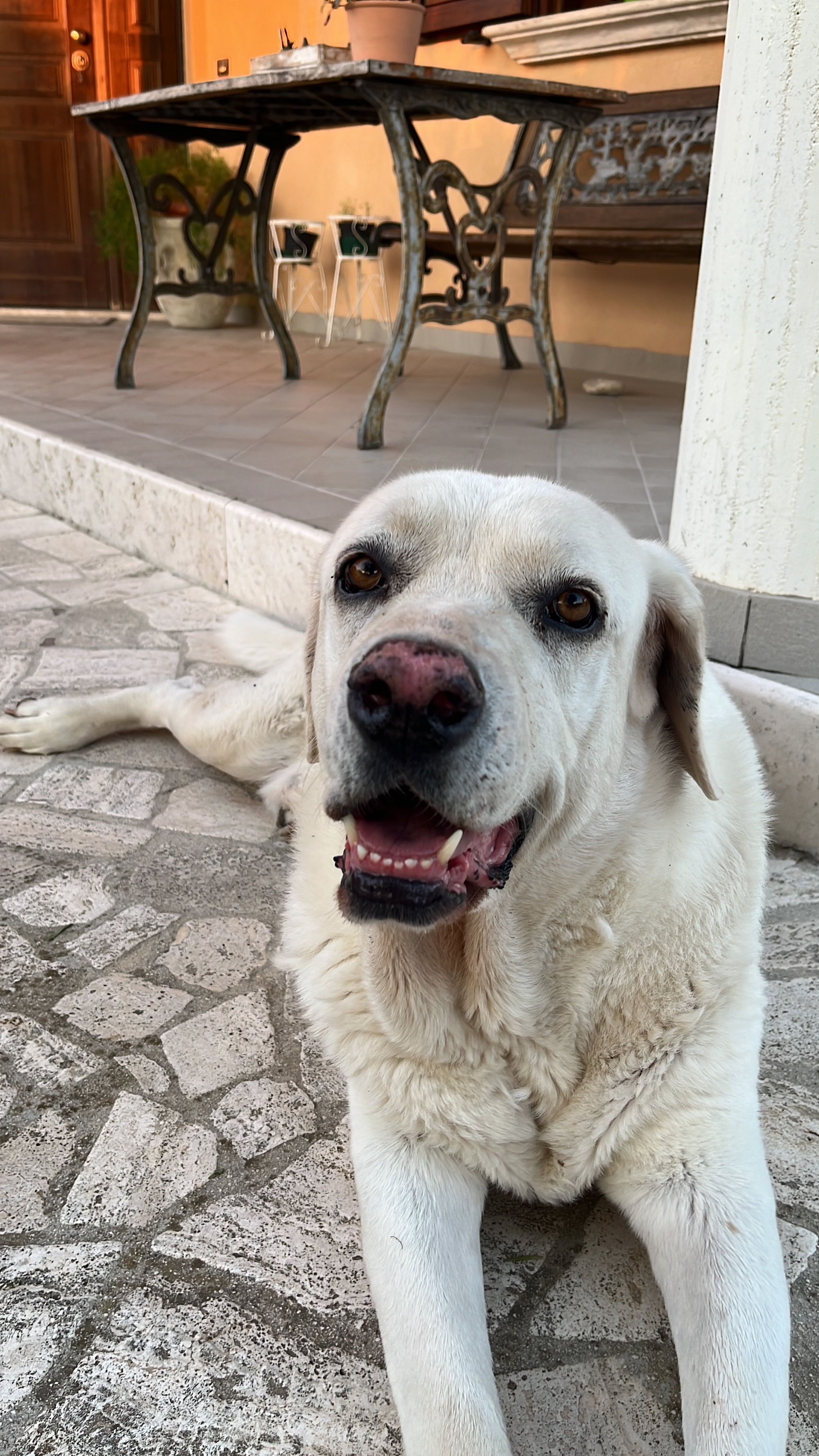 image-8