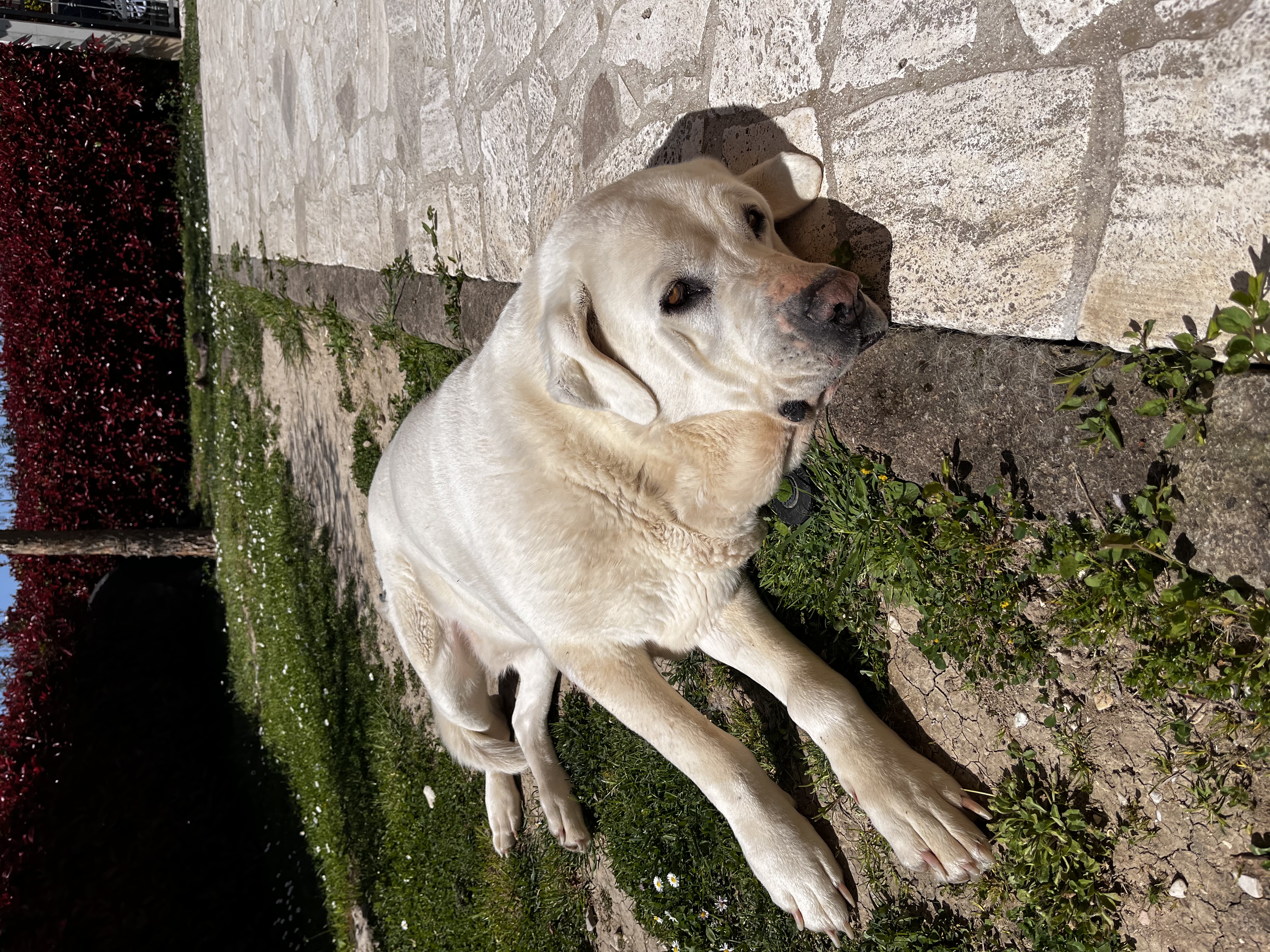 image-5