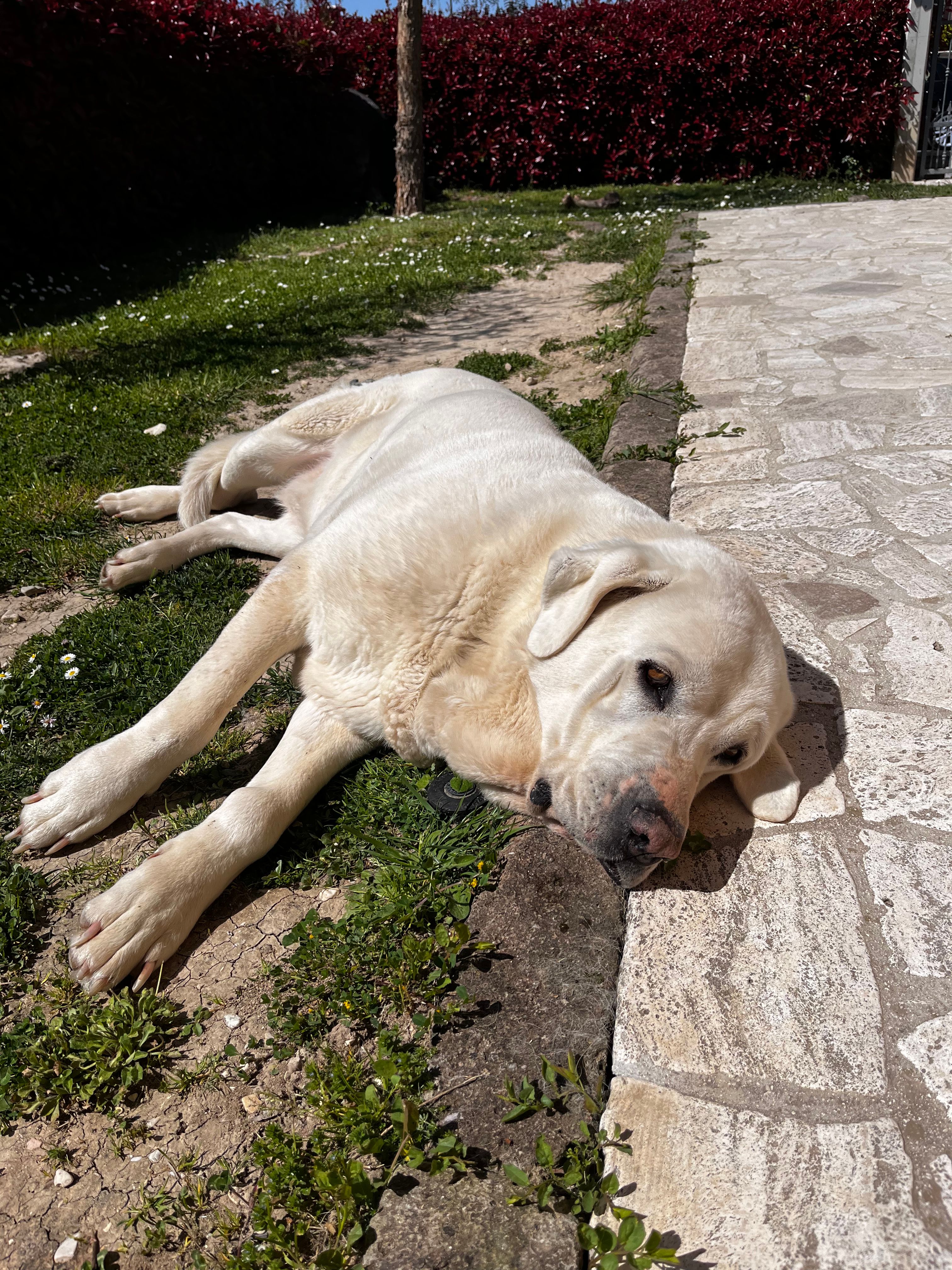 image-5