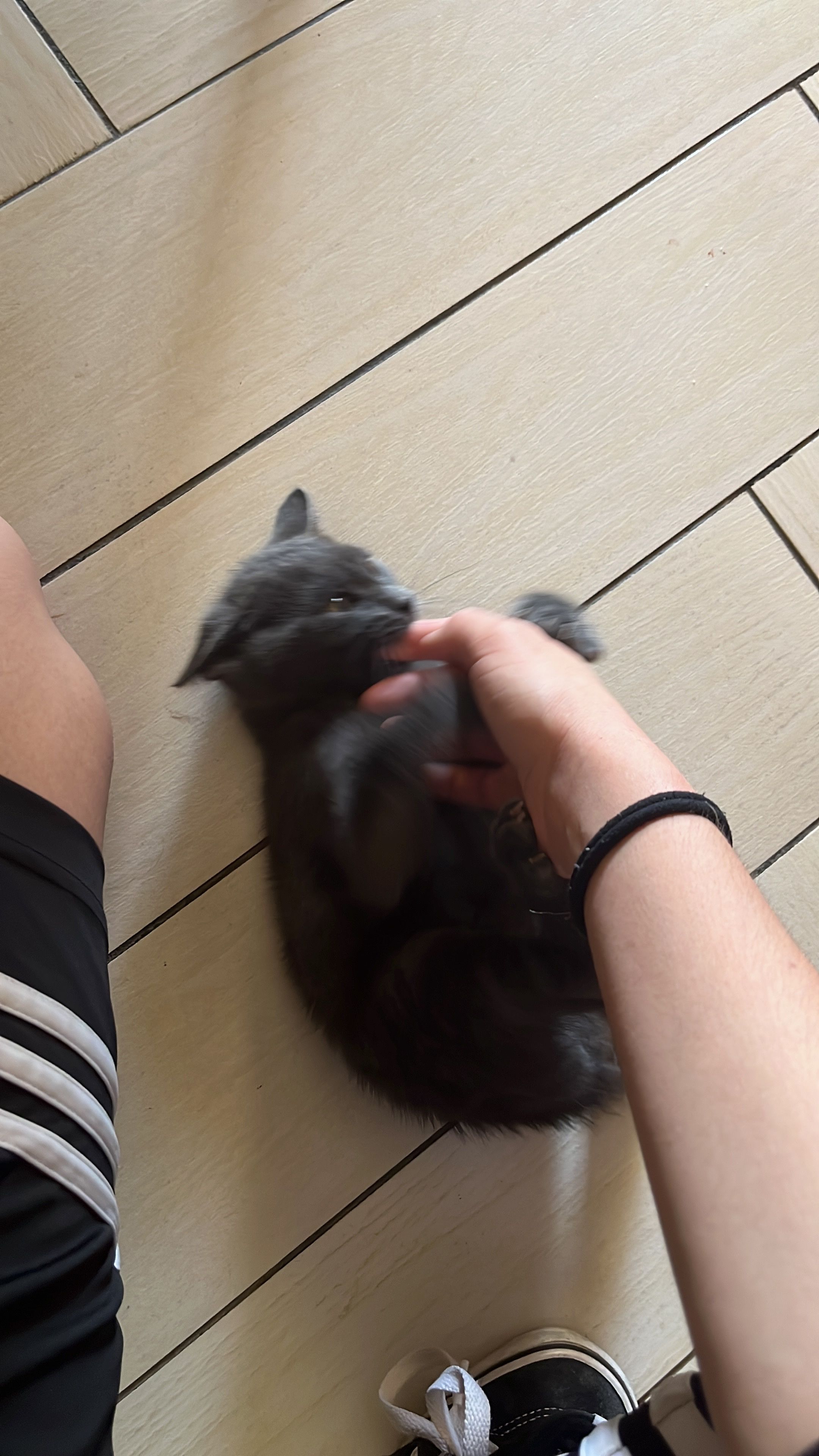 image-9