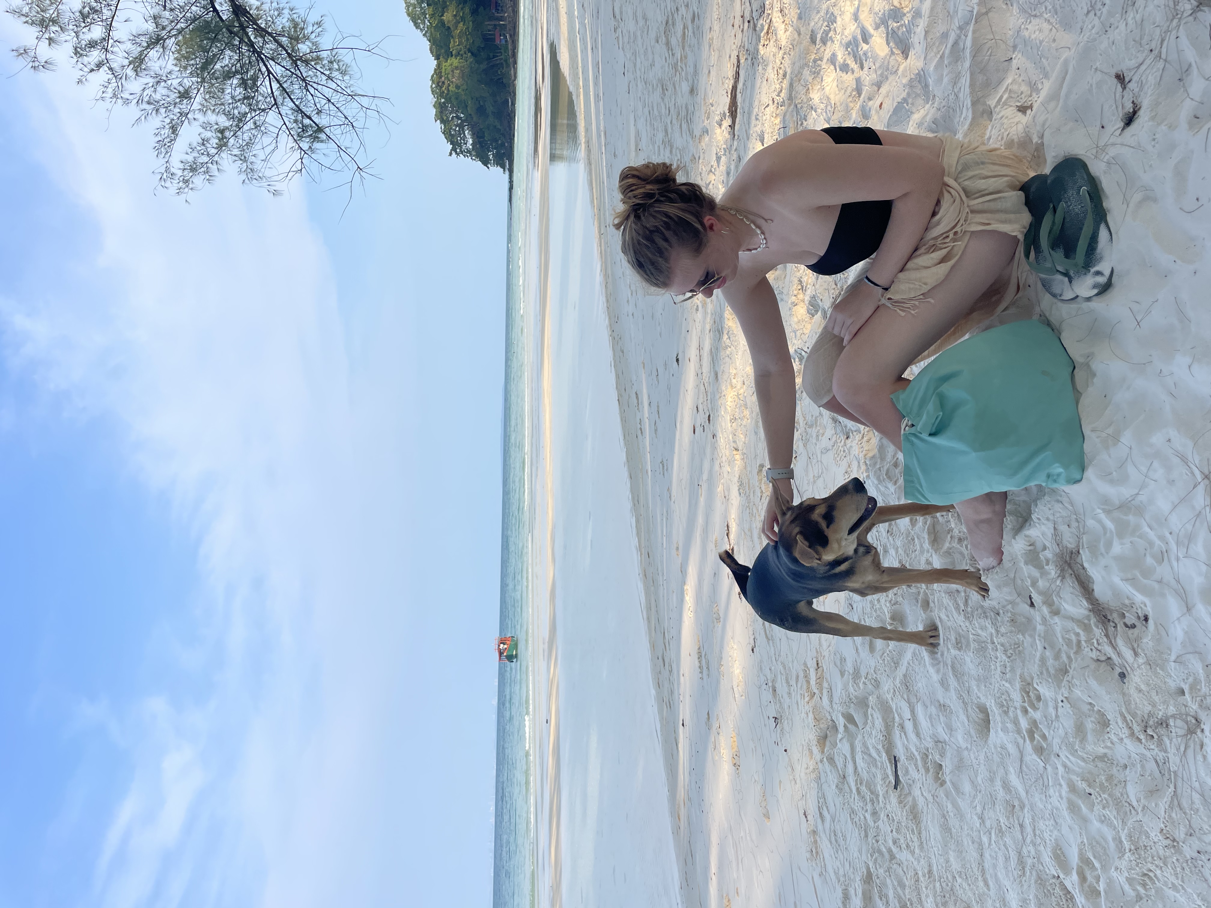 image-5