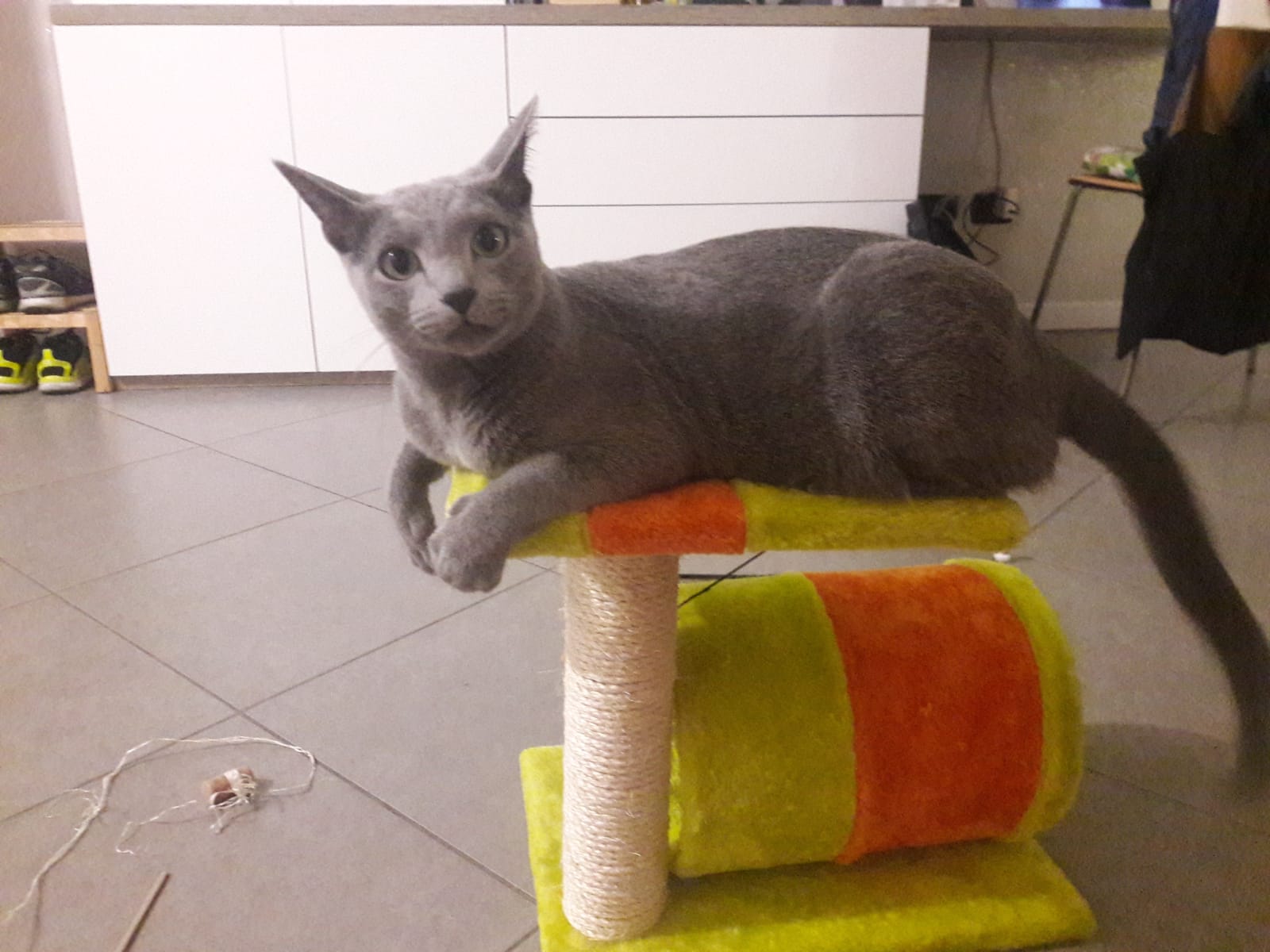 image-6