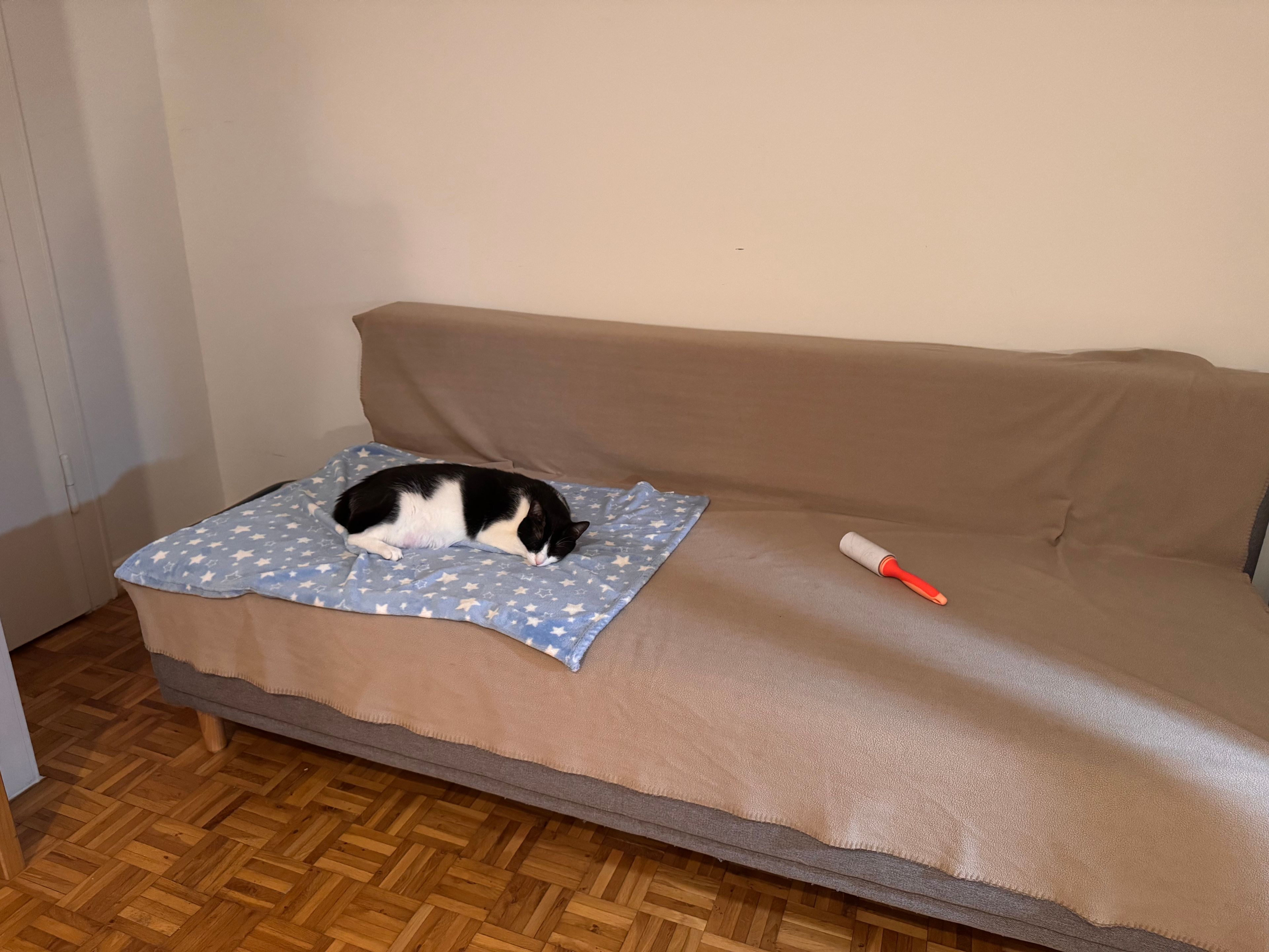 image-8