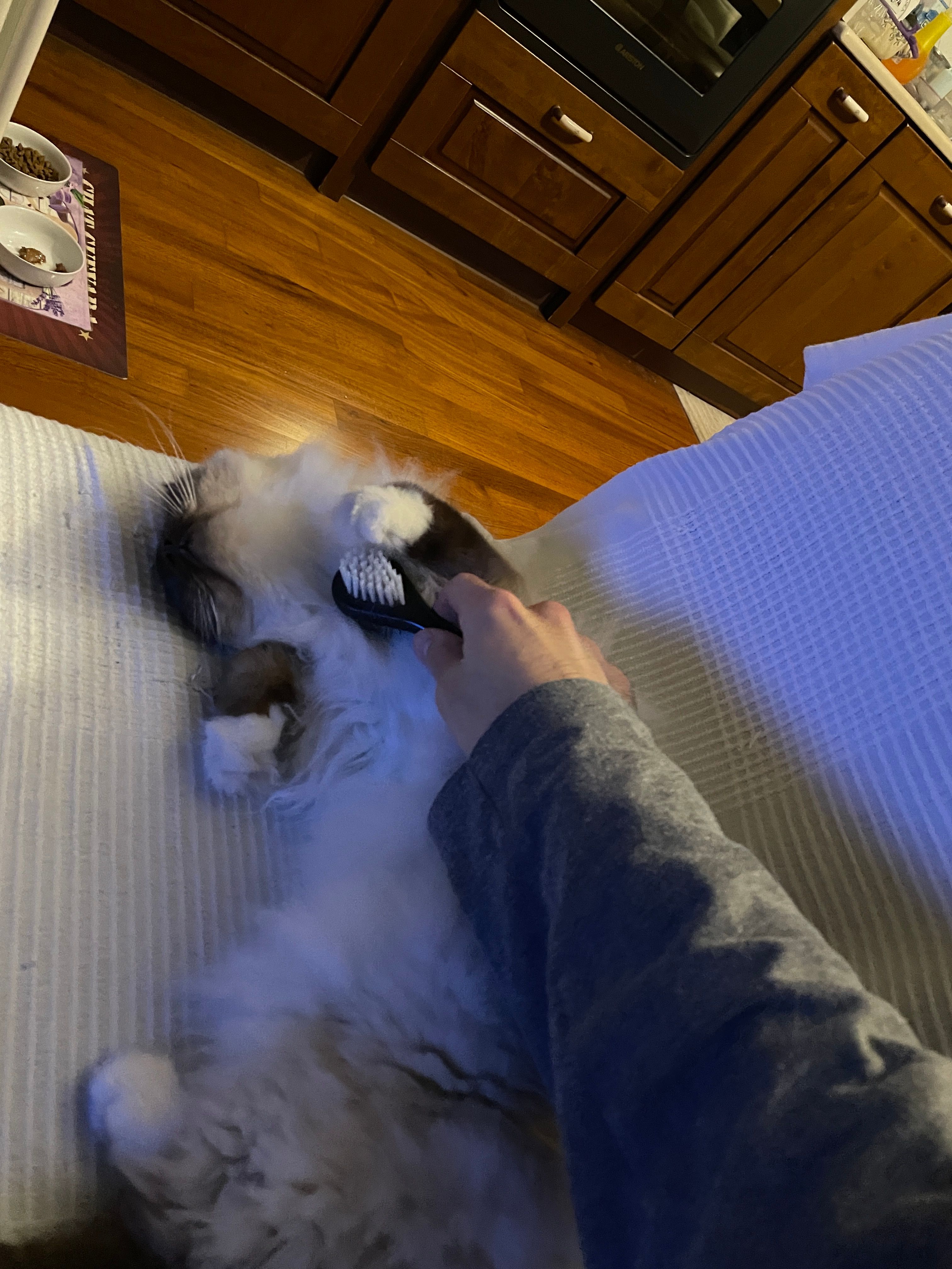 image-6