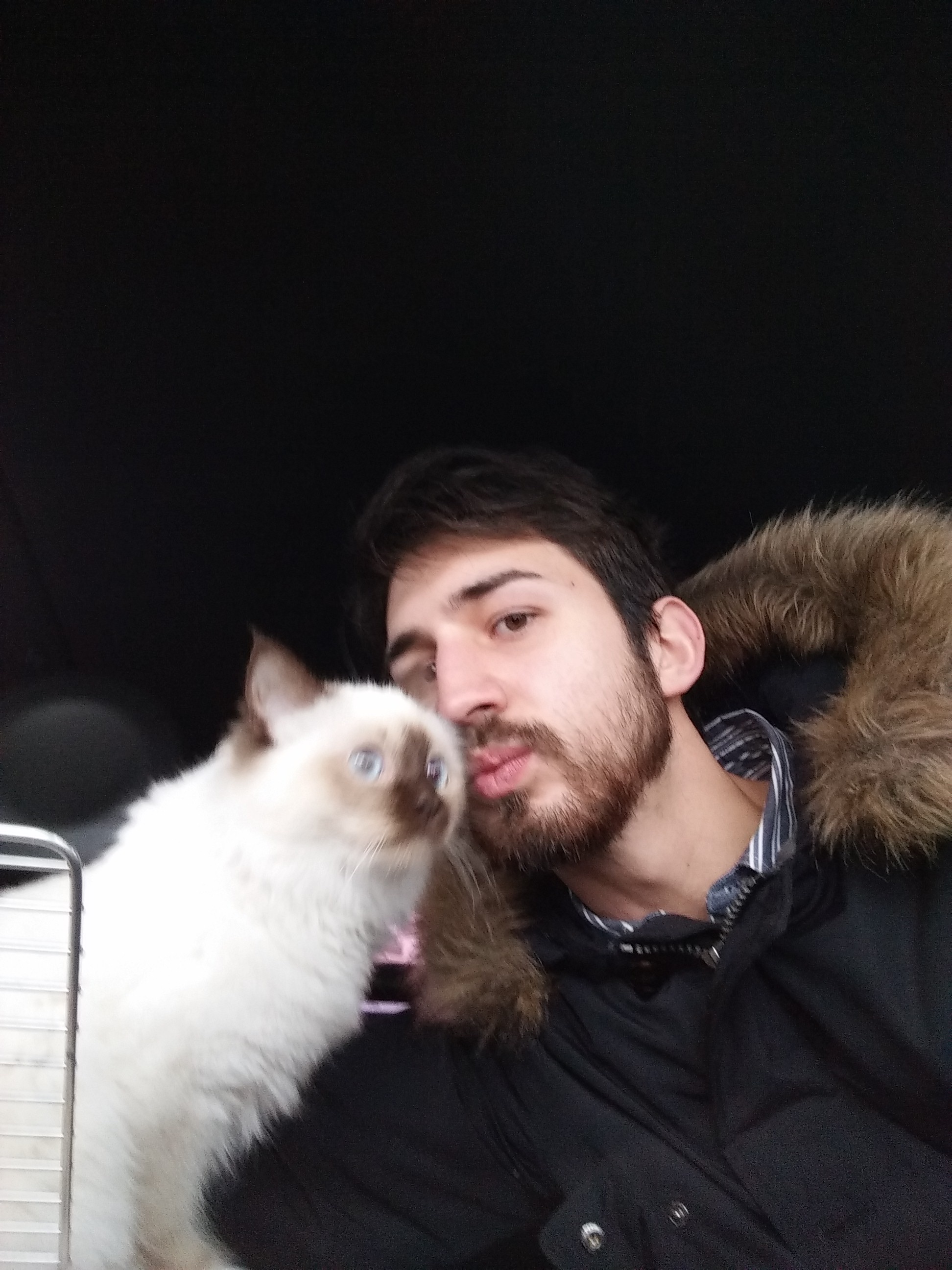image-7
