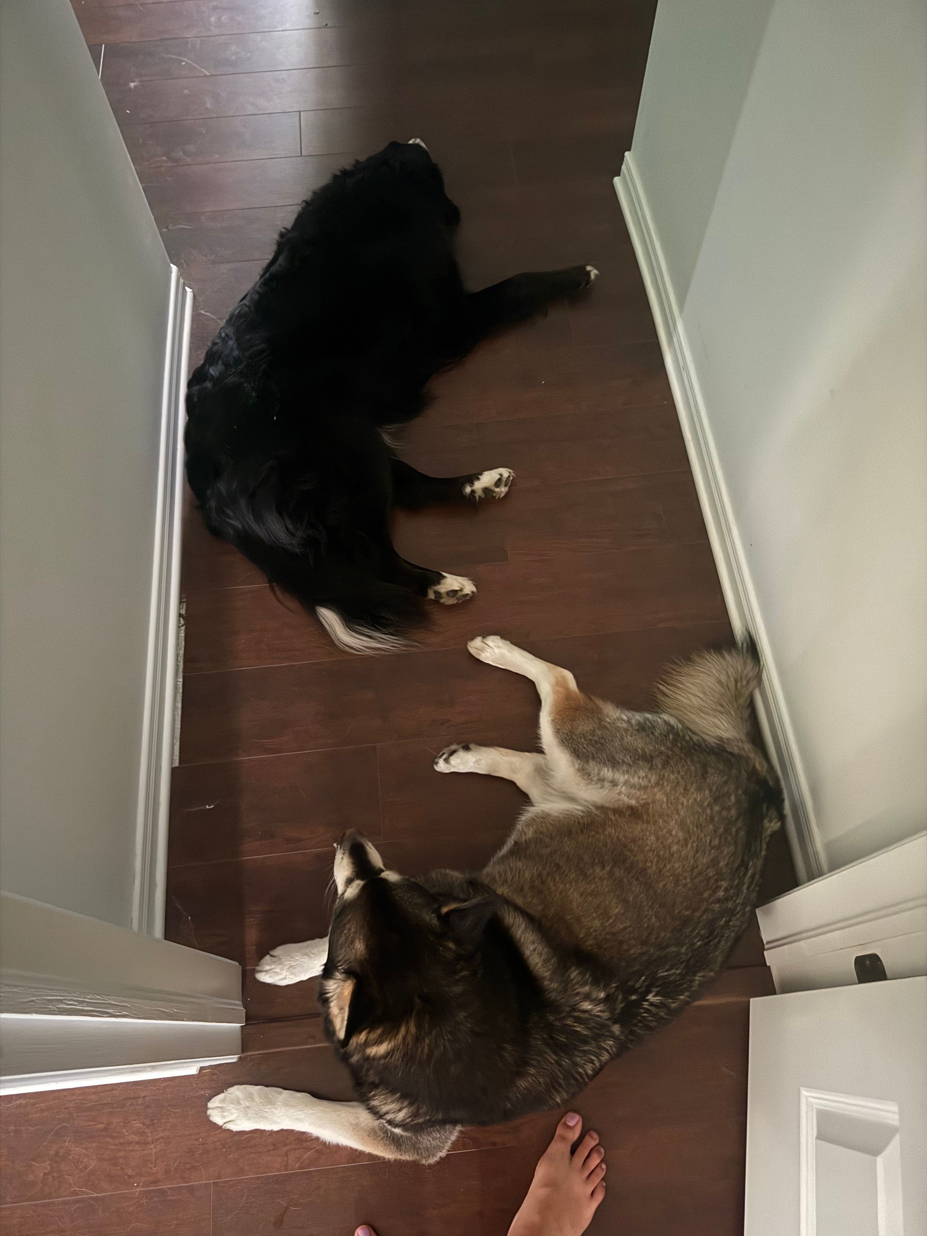 image-16