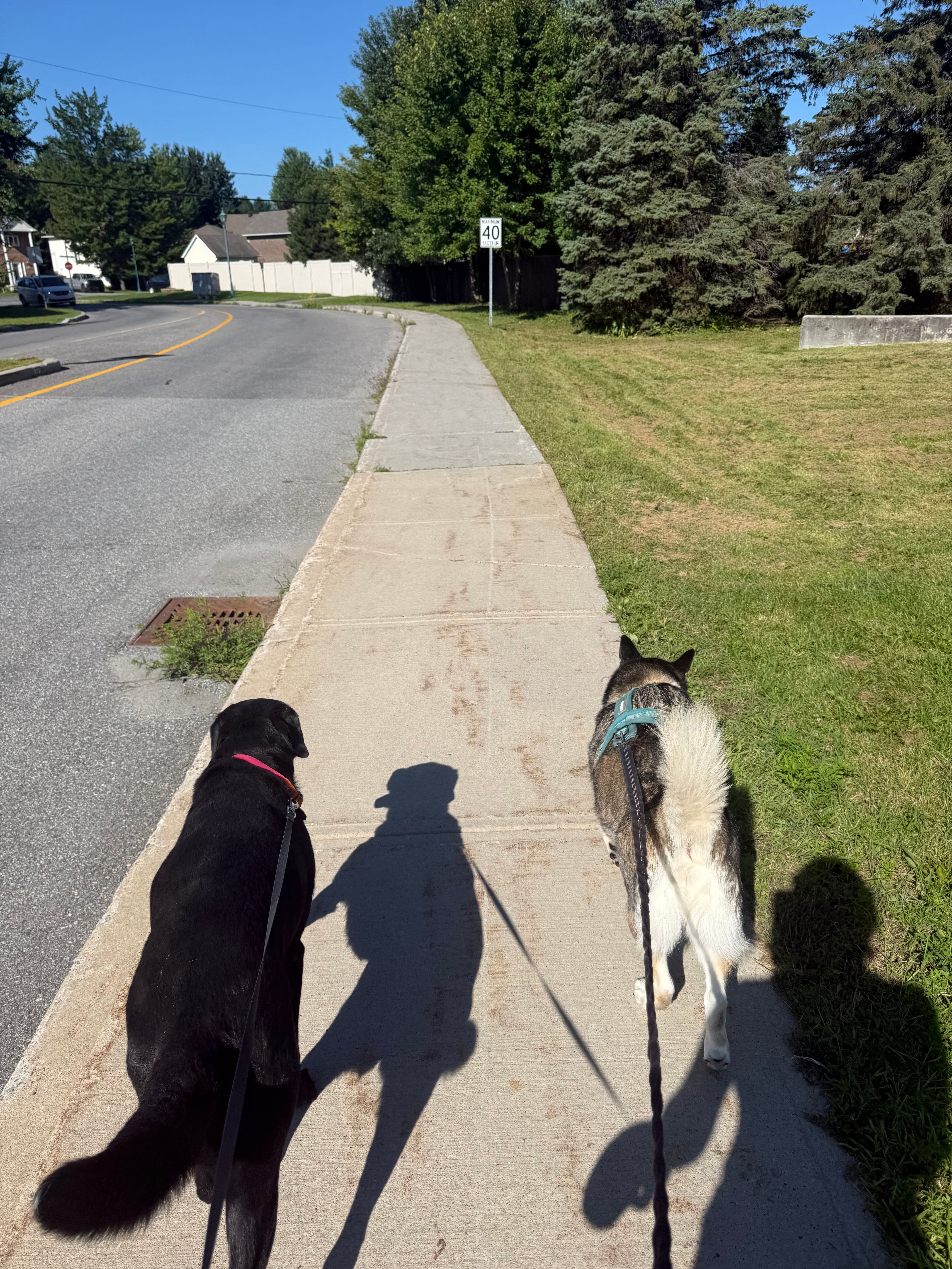 image-20