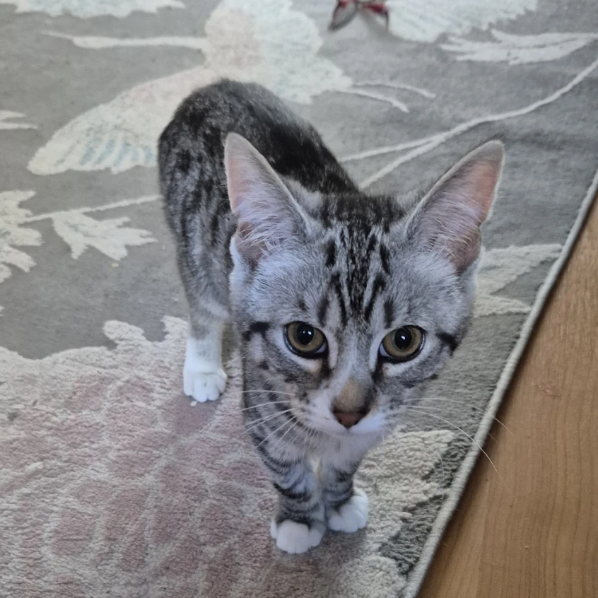 Billy