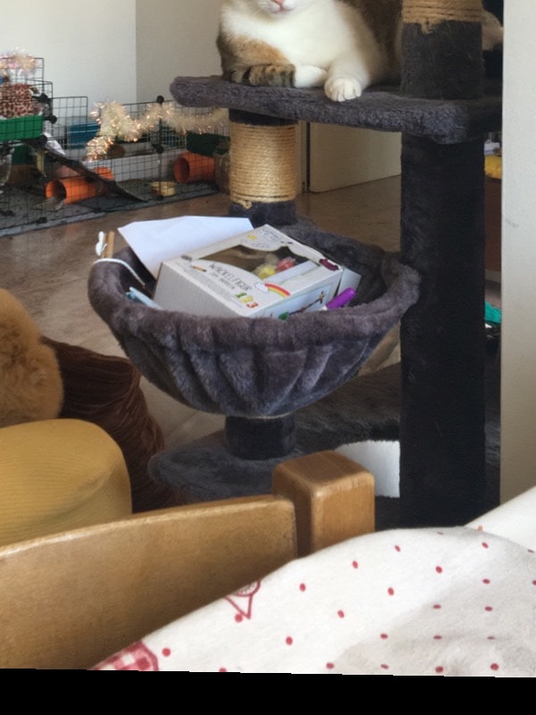 image-2
