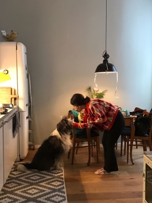 image-12