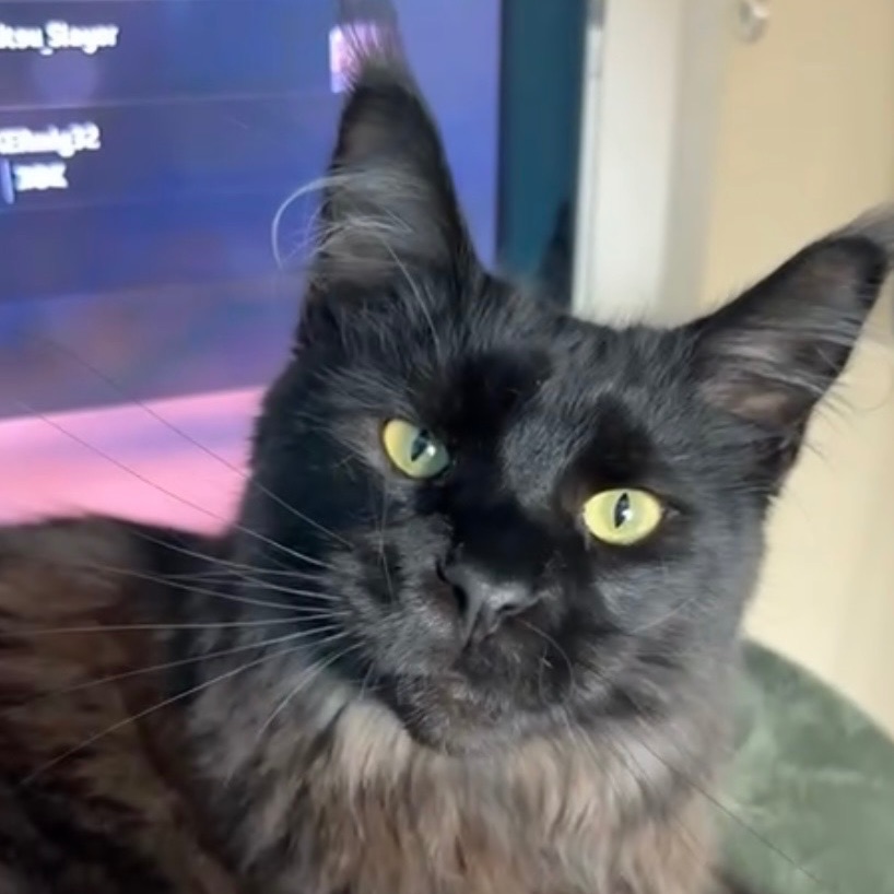 Hugo