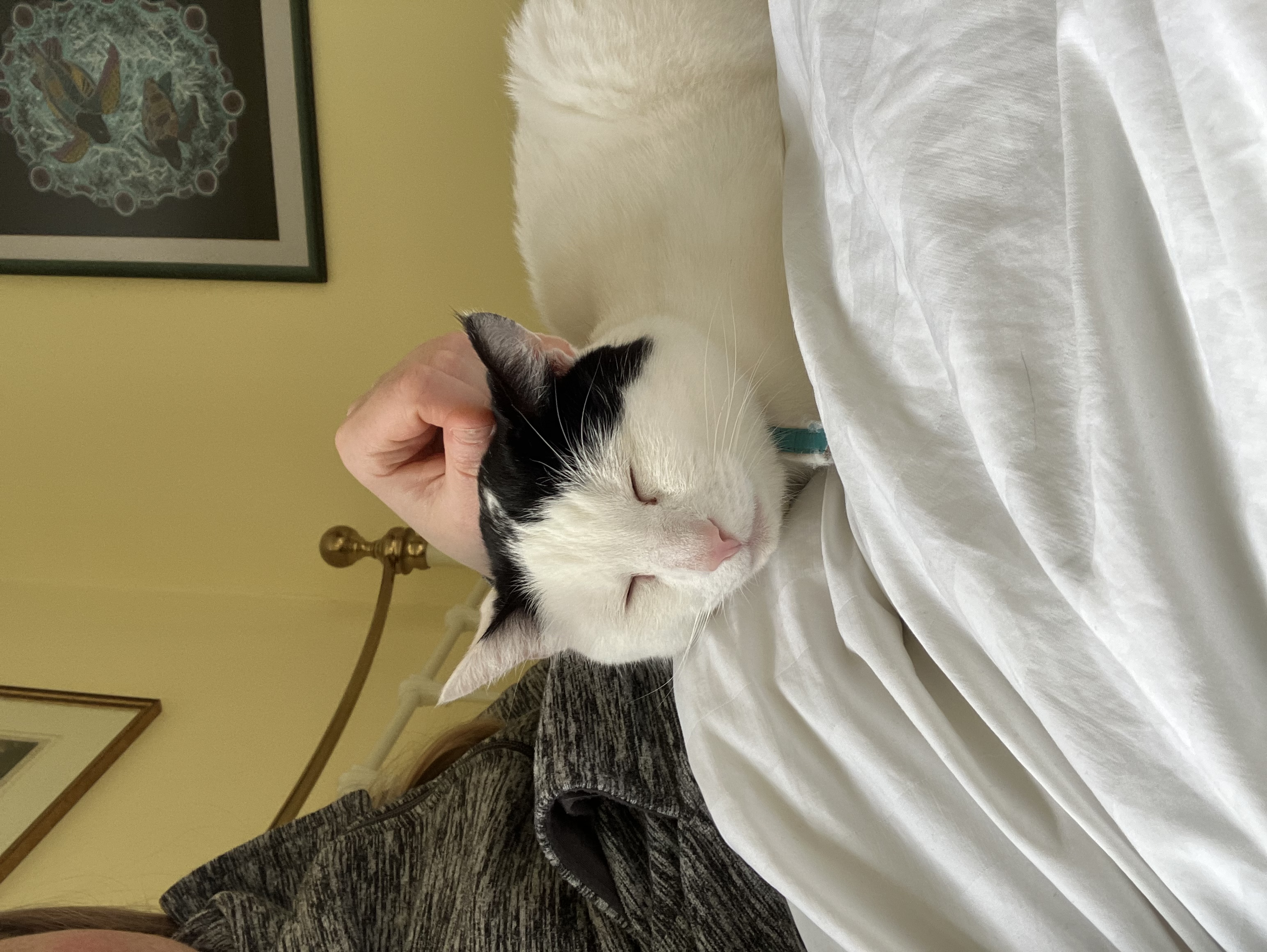 image-7