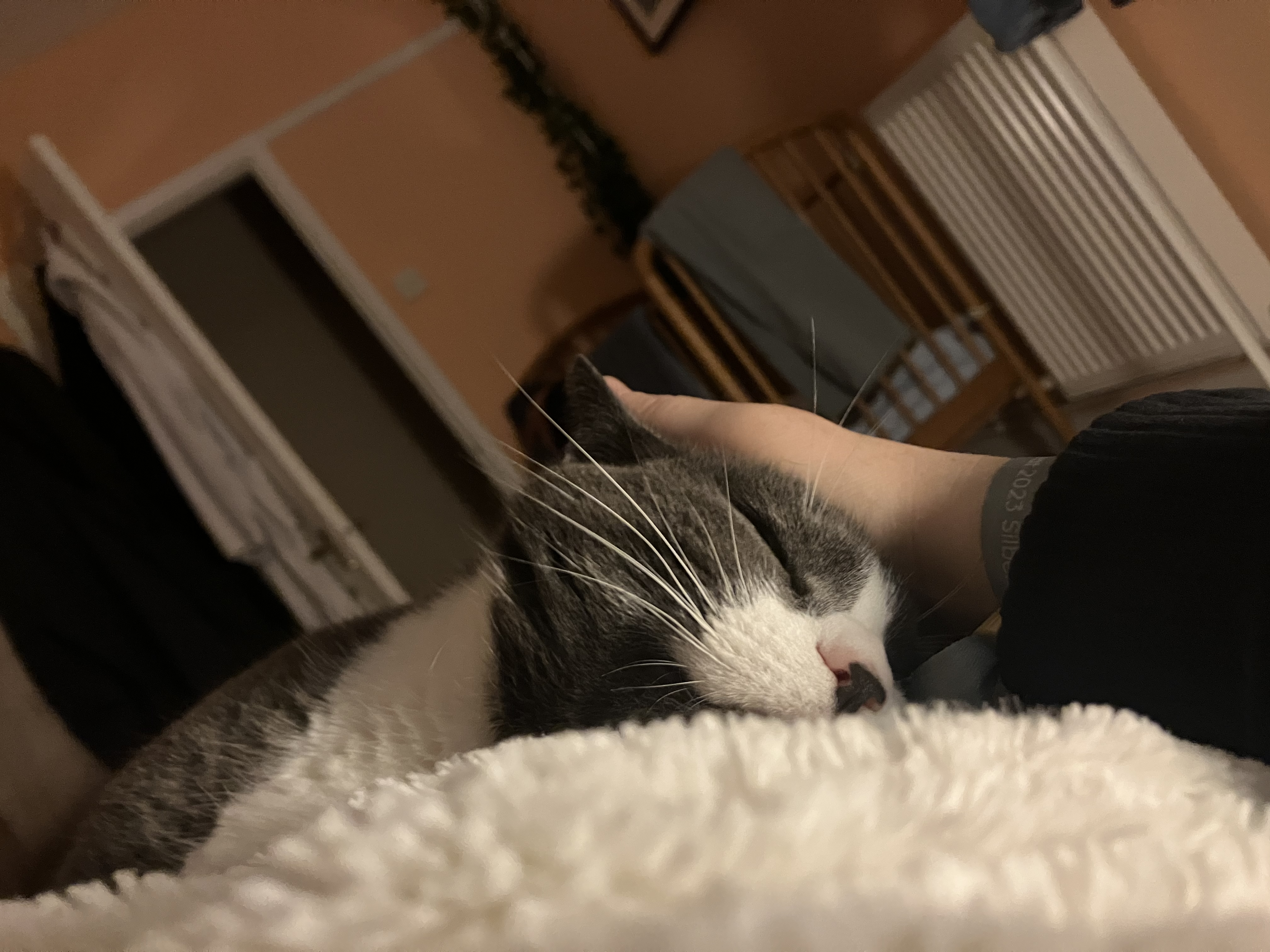 image-8