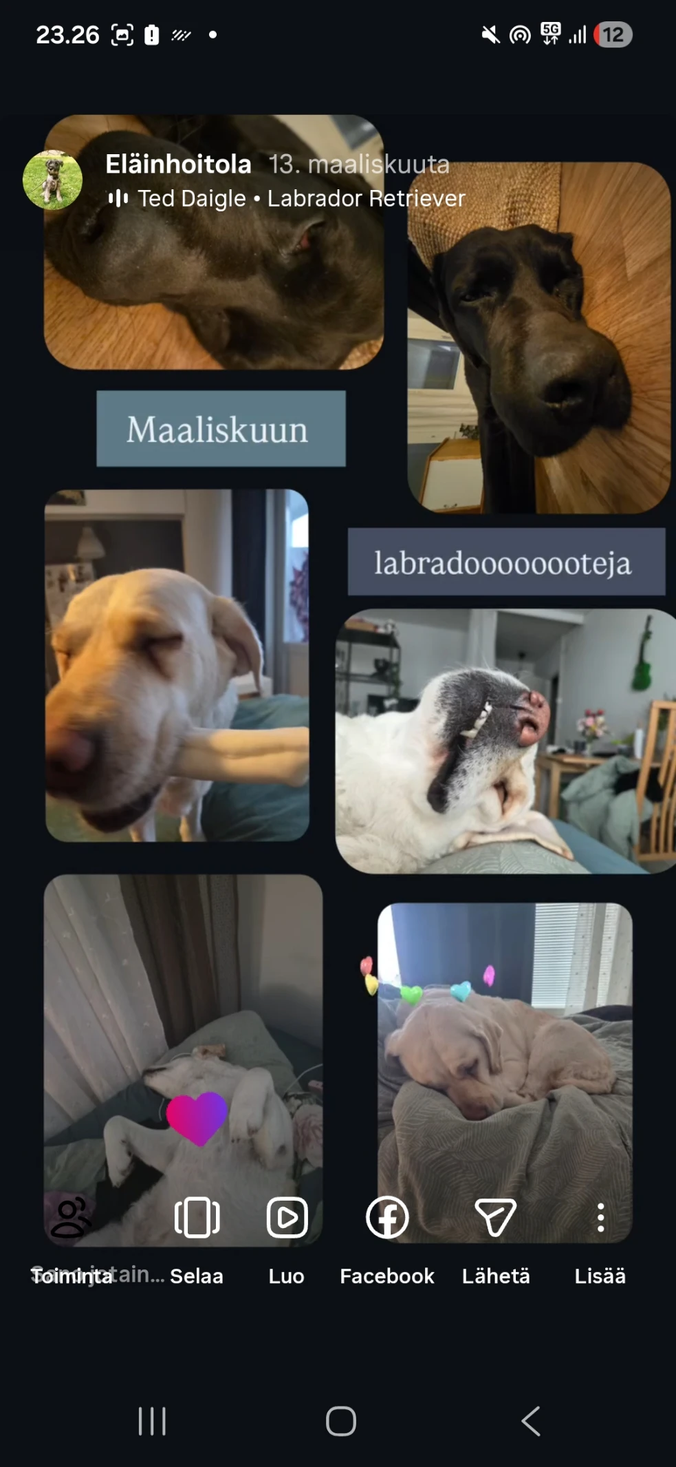 image-13