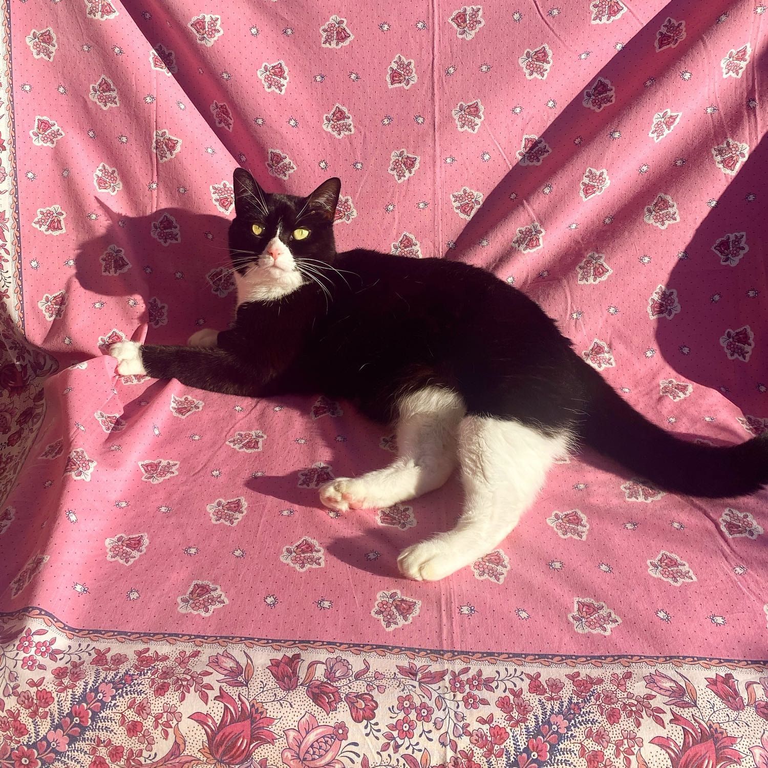 Doris