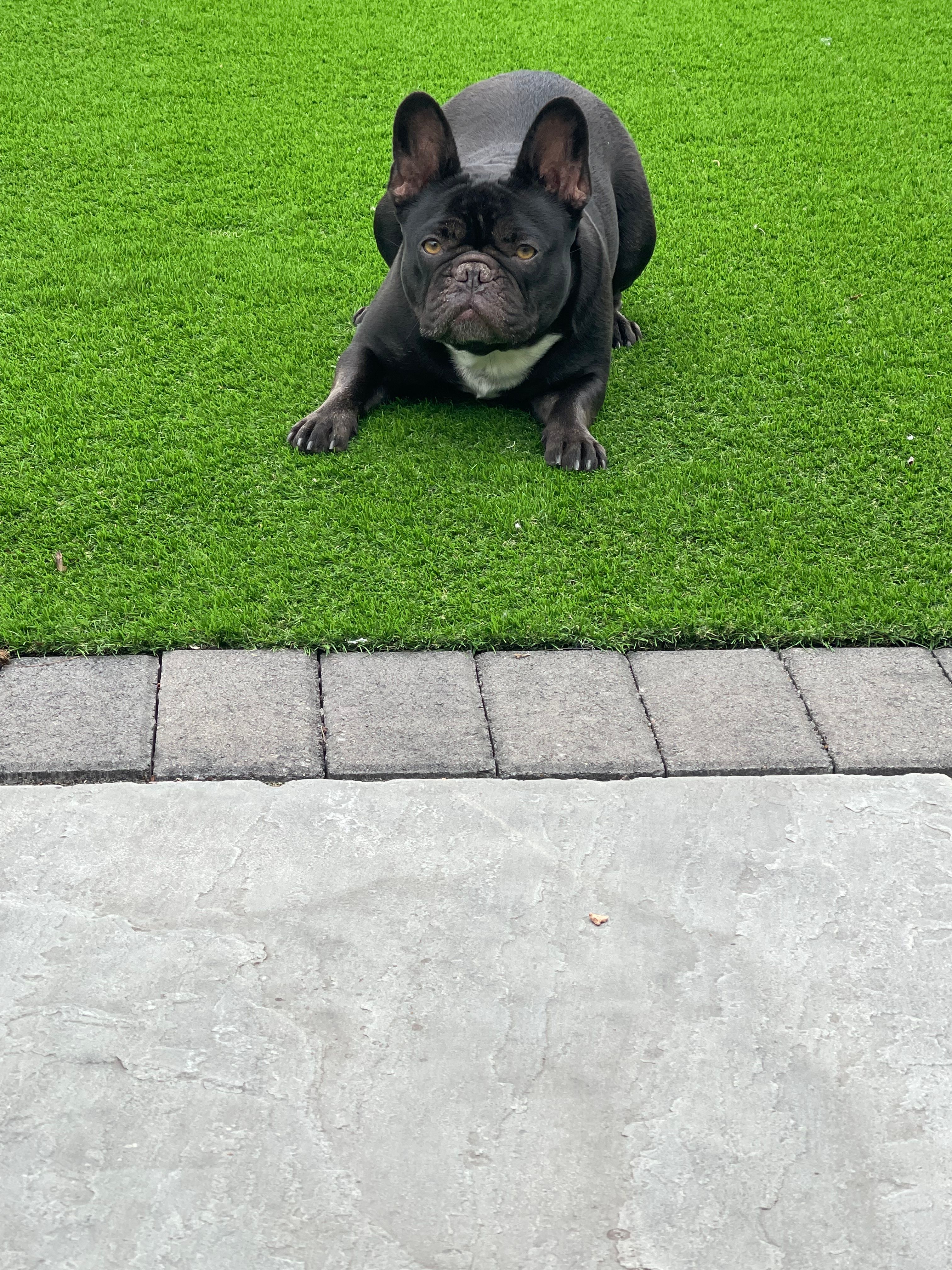 image-15
