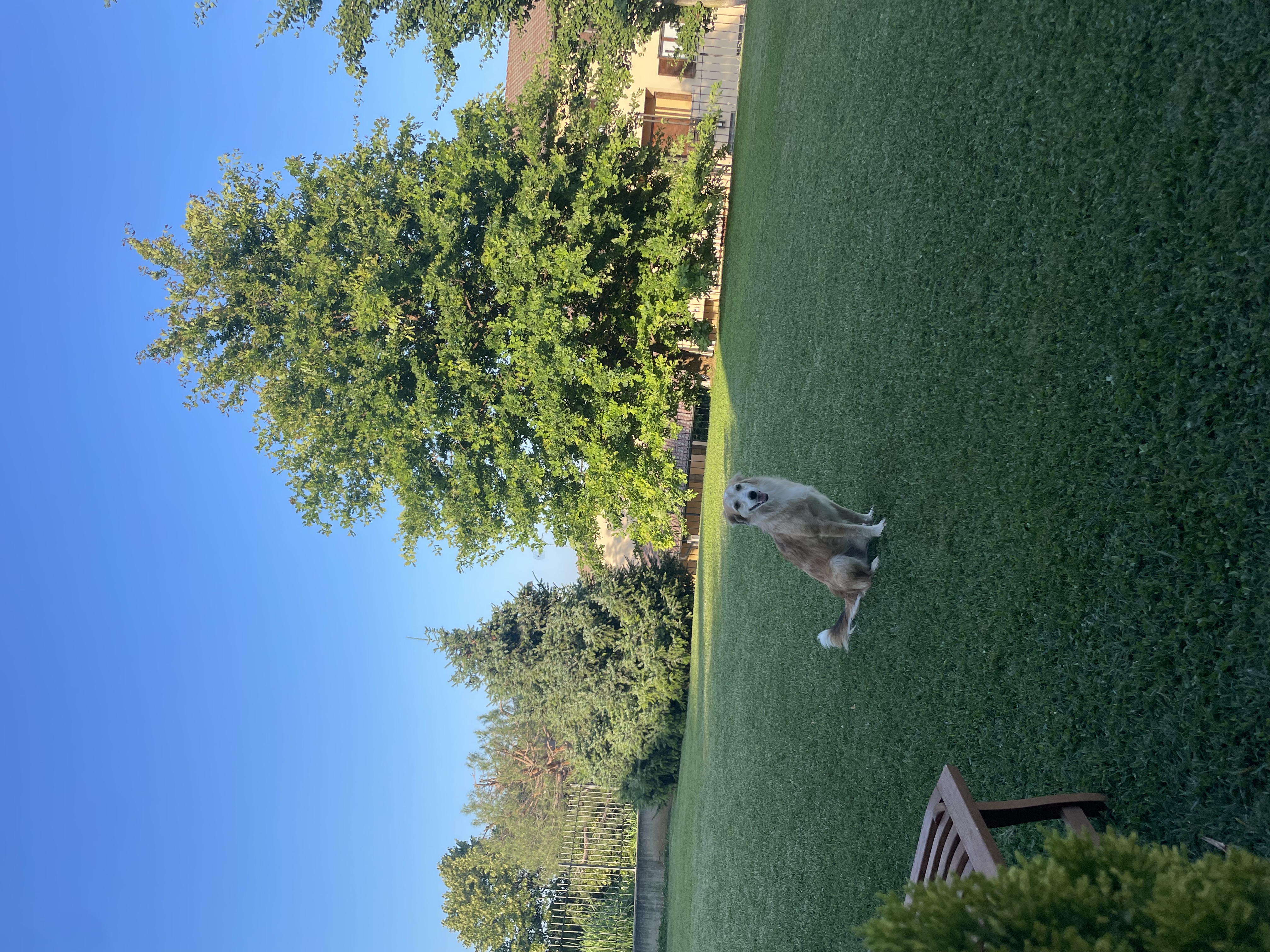 image-18