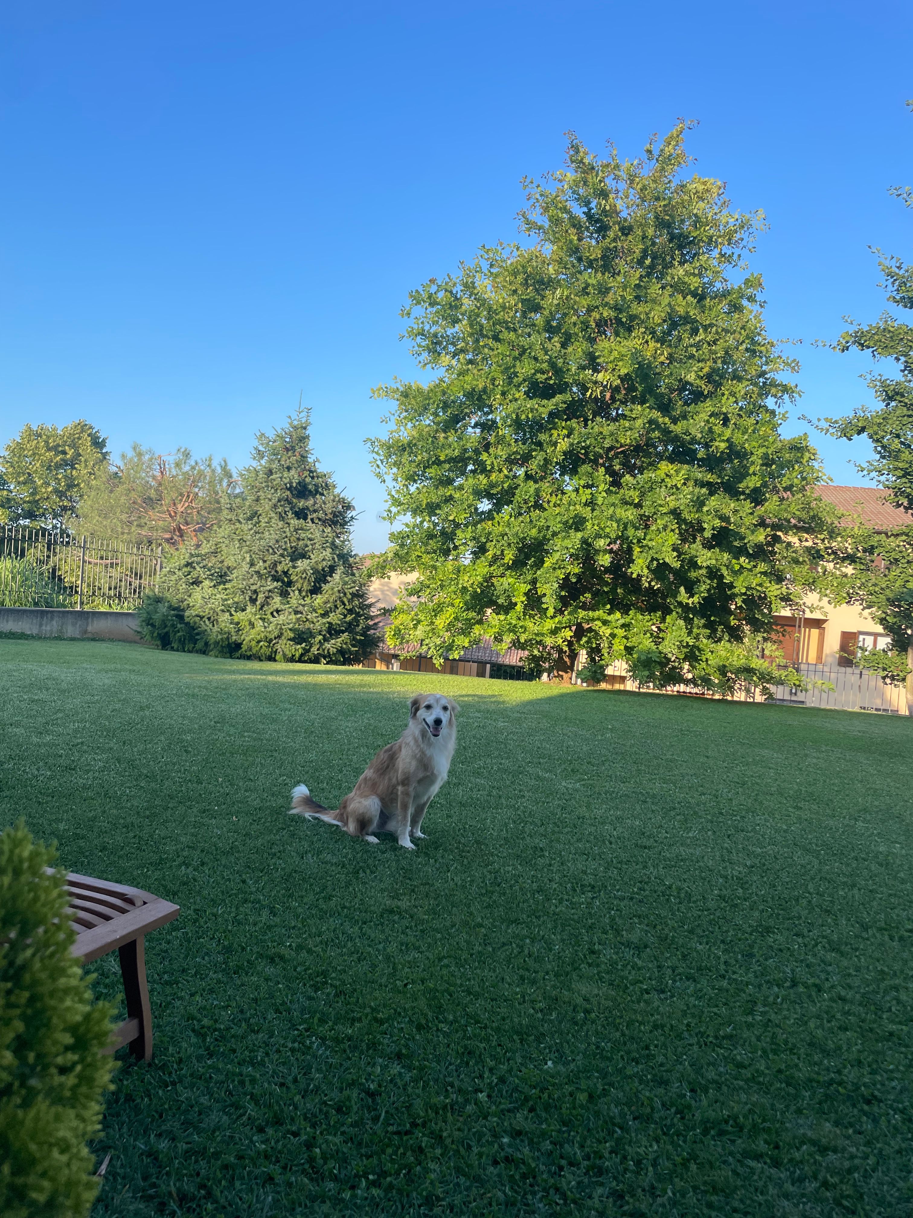 image-18