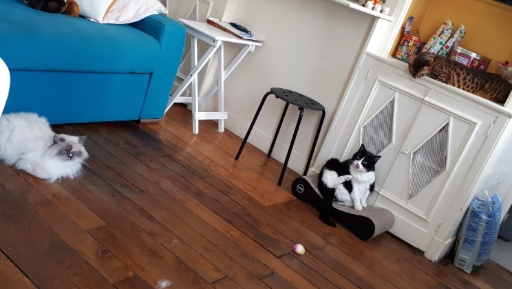 image-19