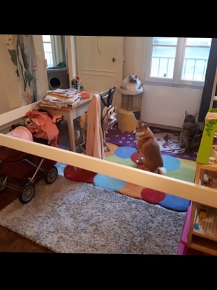 image-18