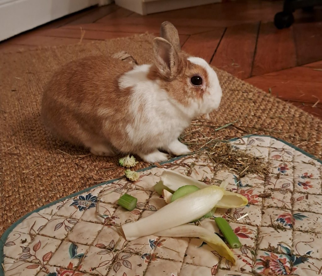 image-14