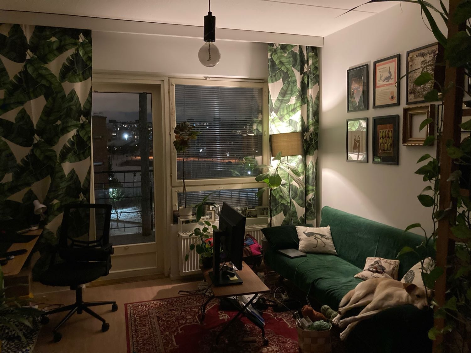 image-10