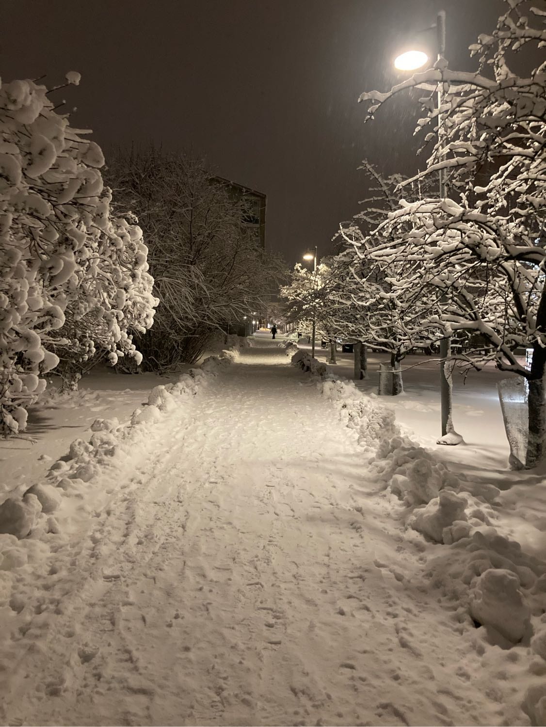 image-12