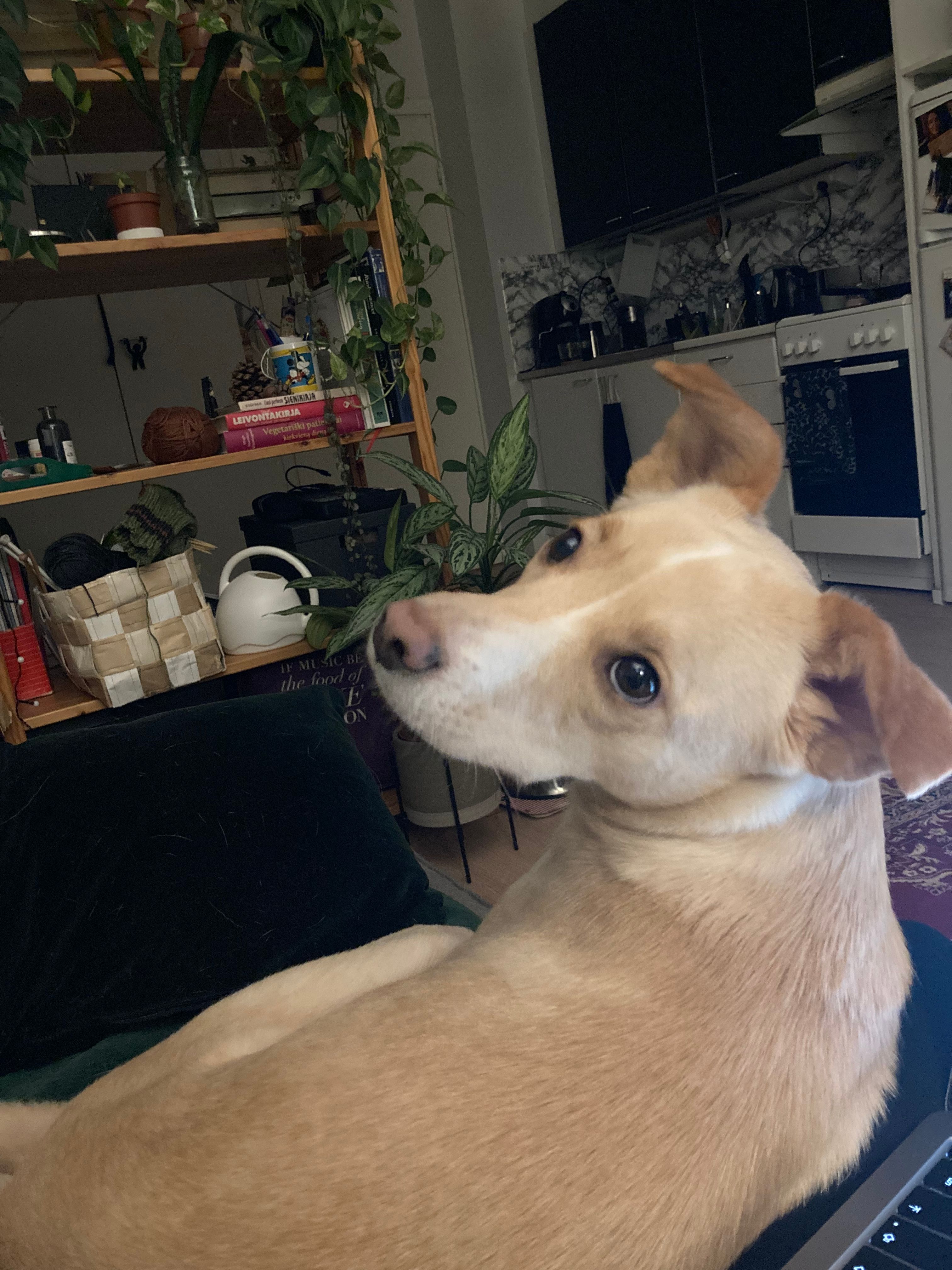 image-15