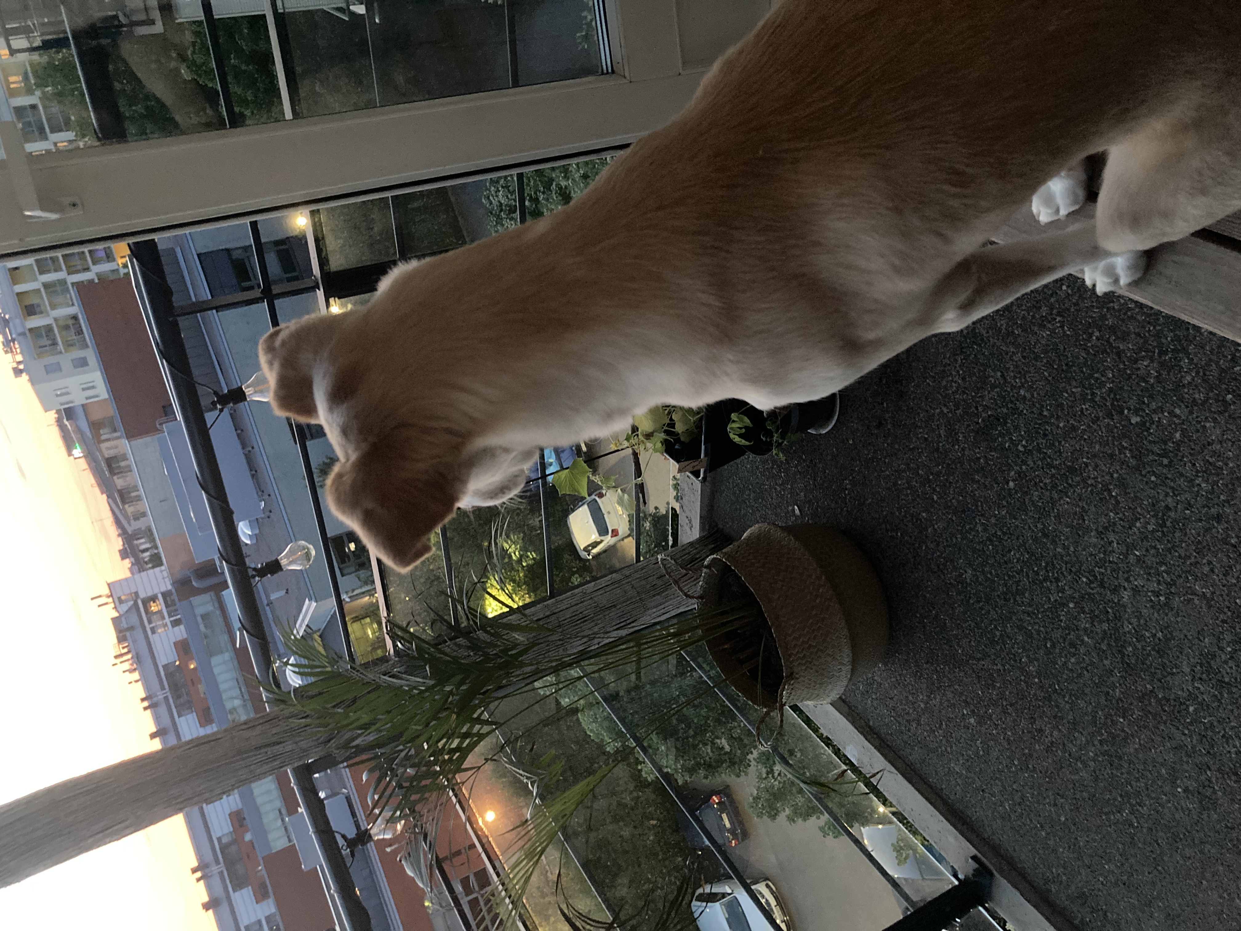 image-14