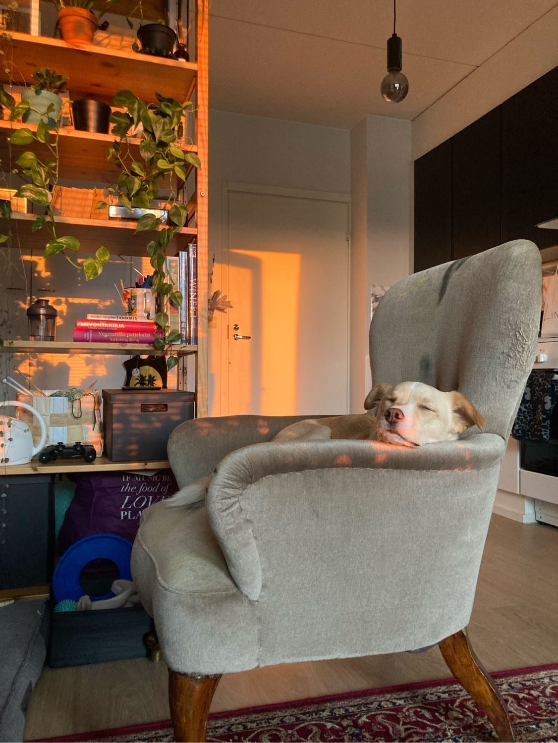 image-11