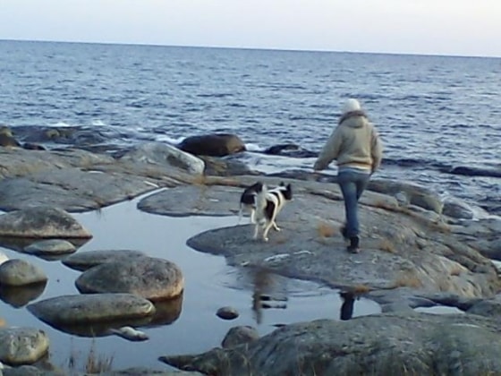 image-12