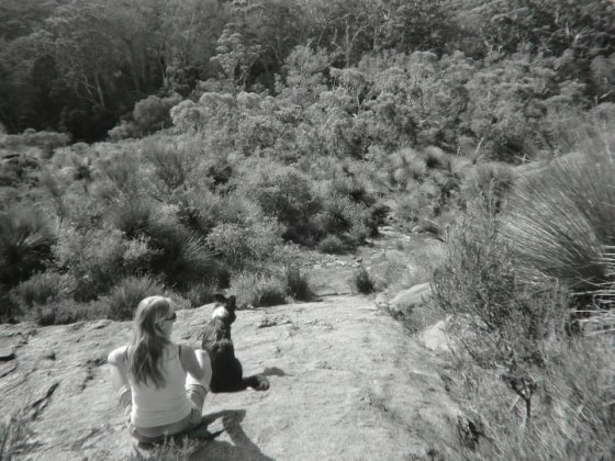 image-11